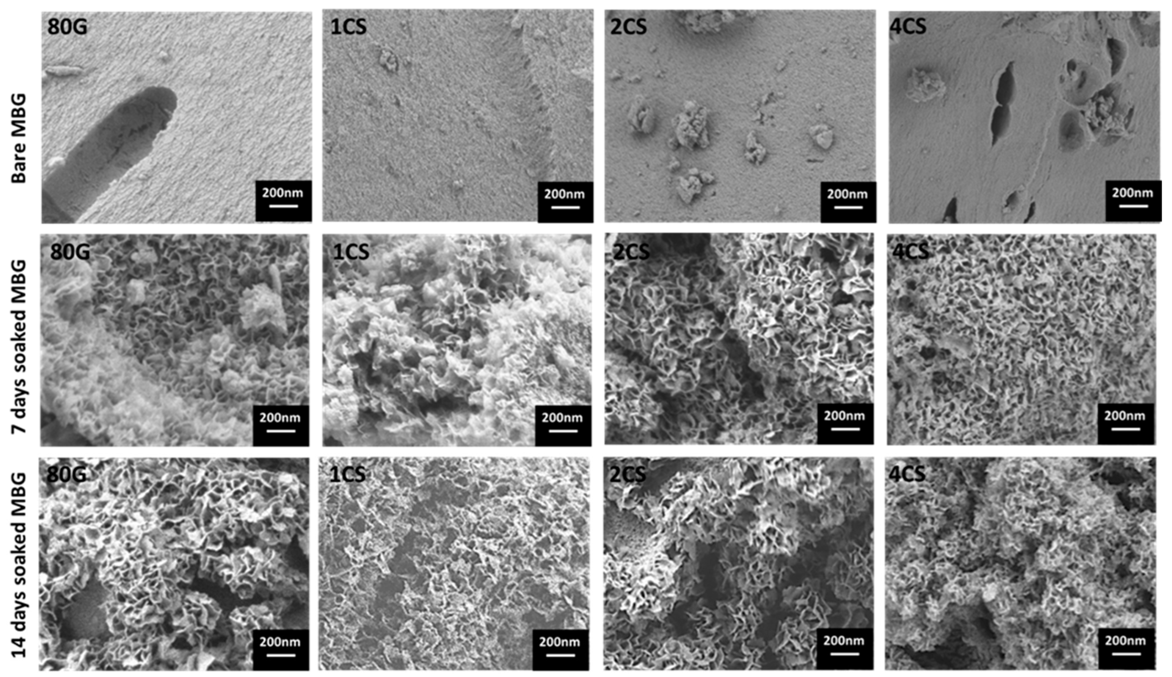 Gels 08 00743 g008 Gels 08 00743 g008