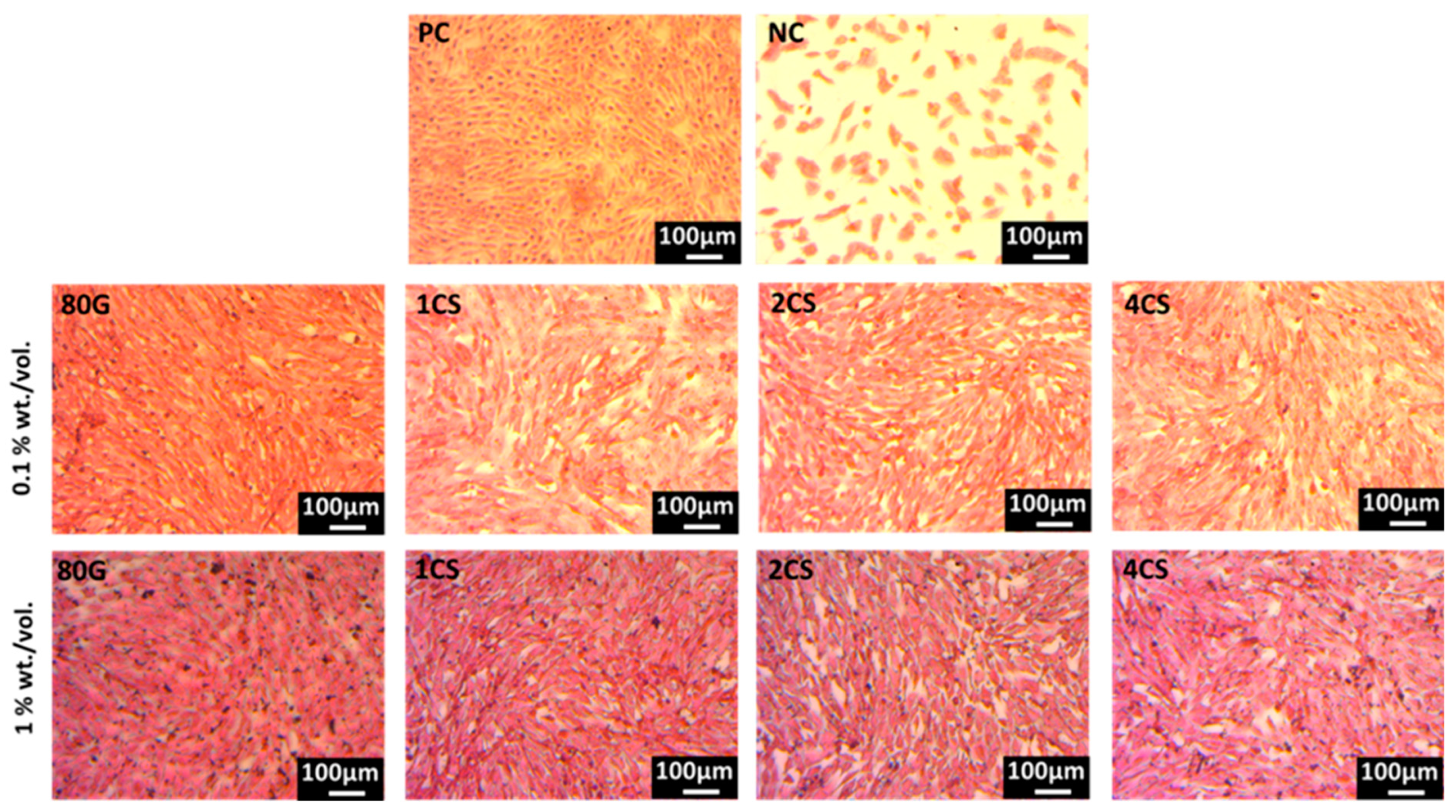 Gels 08 00743 g010 Gels 08 00743 g010