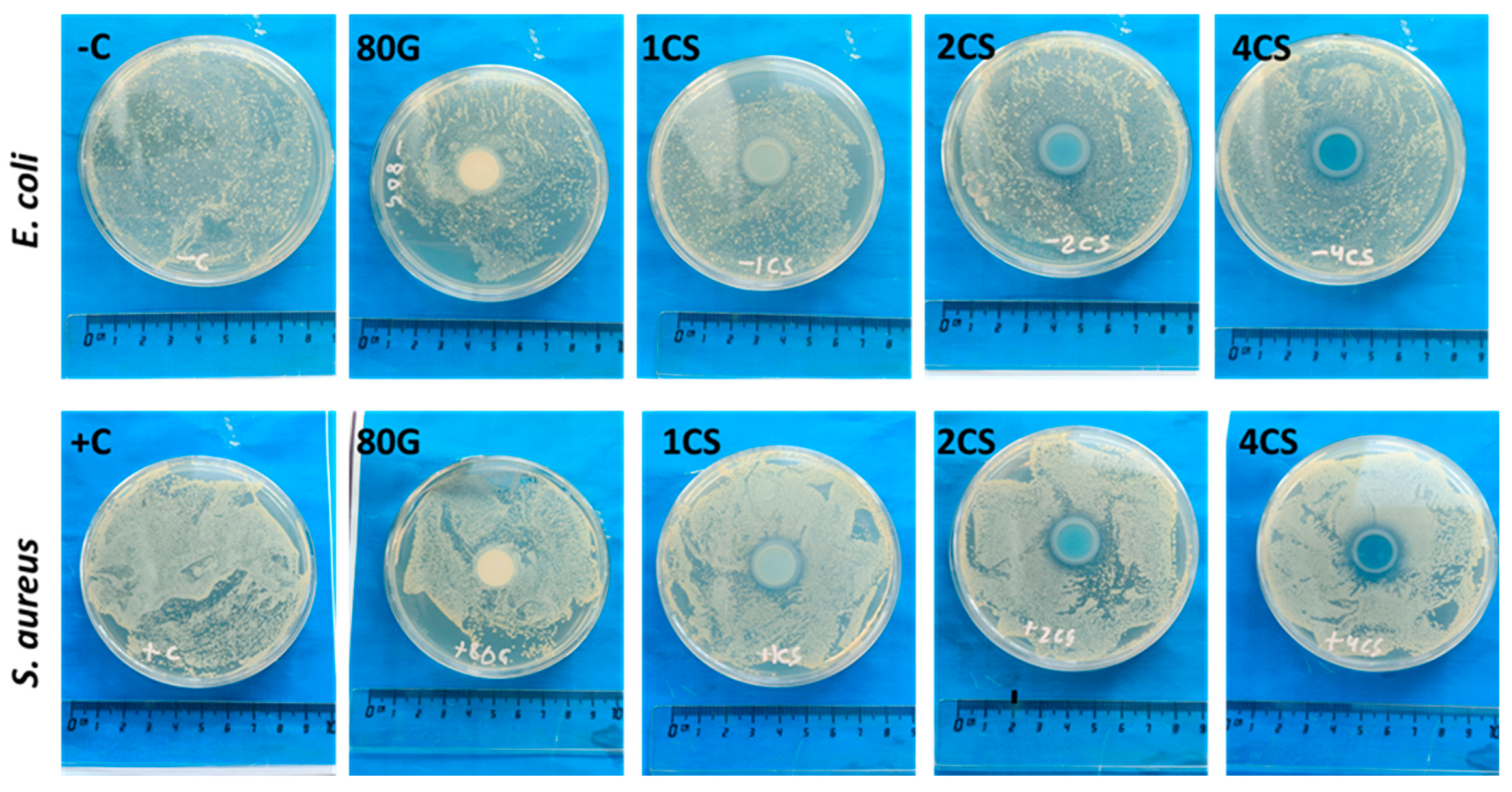 Gels 08 00743 g011 Gels 08 00743 g011