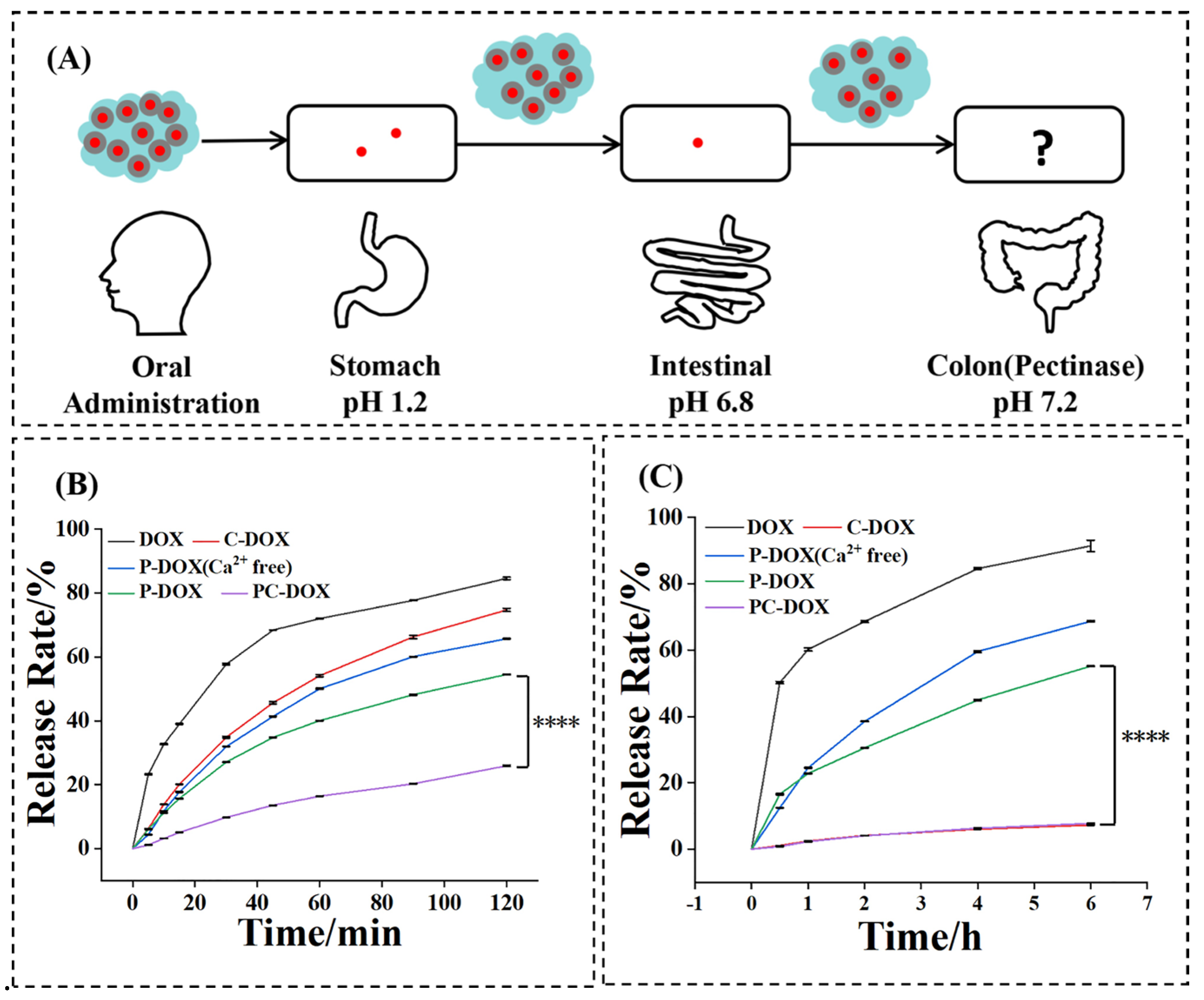 Gels 08 00759 g002 Gels 08 00759 g002
