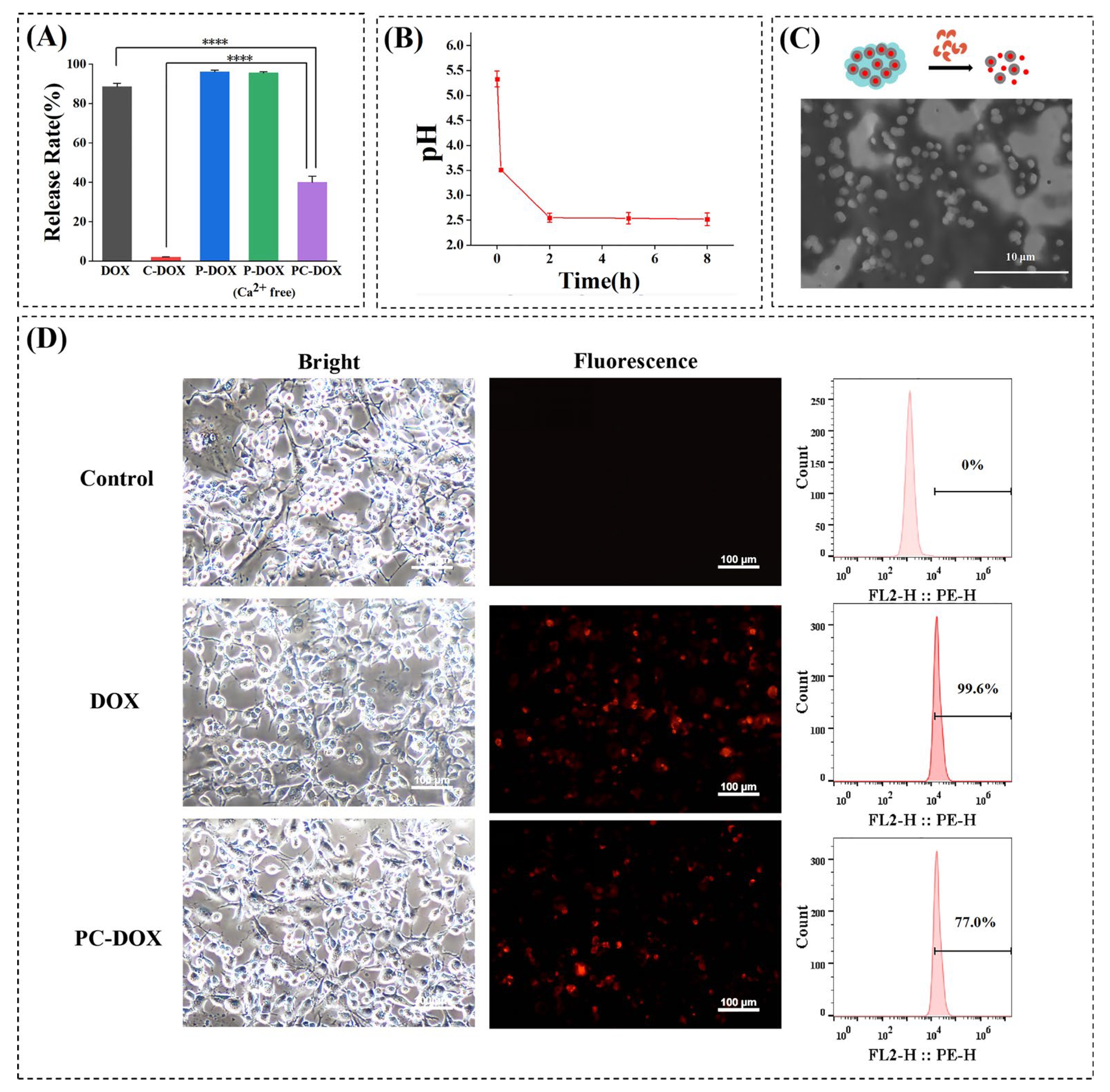 Gels 08 00759 g003 Gels 08 00759 g003