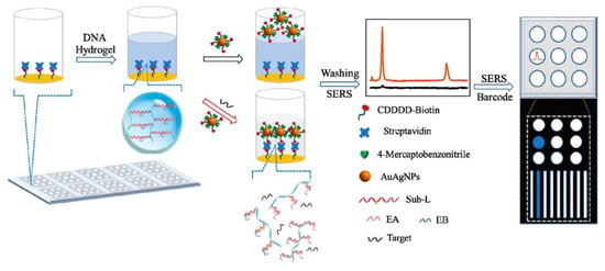 Gels | Free Full-Text | Hydrogel-Based Biosensors