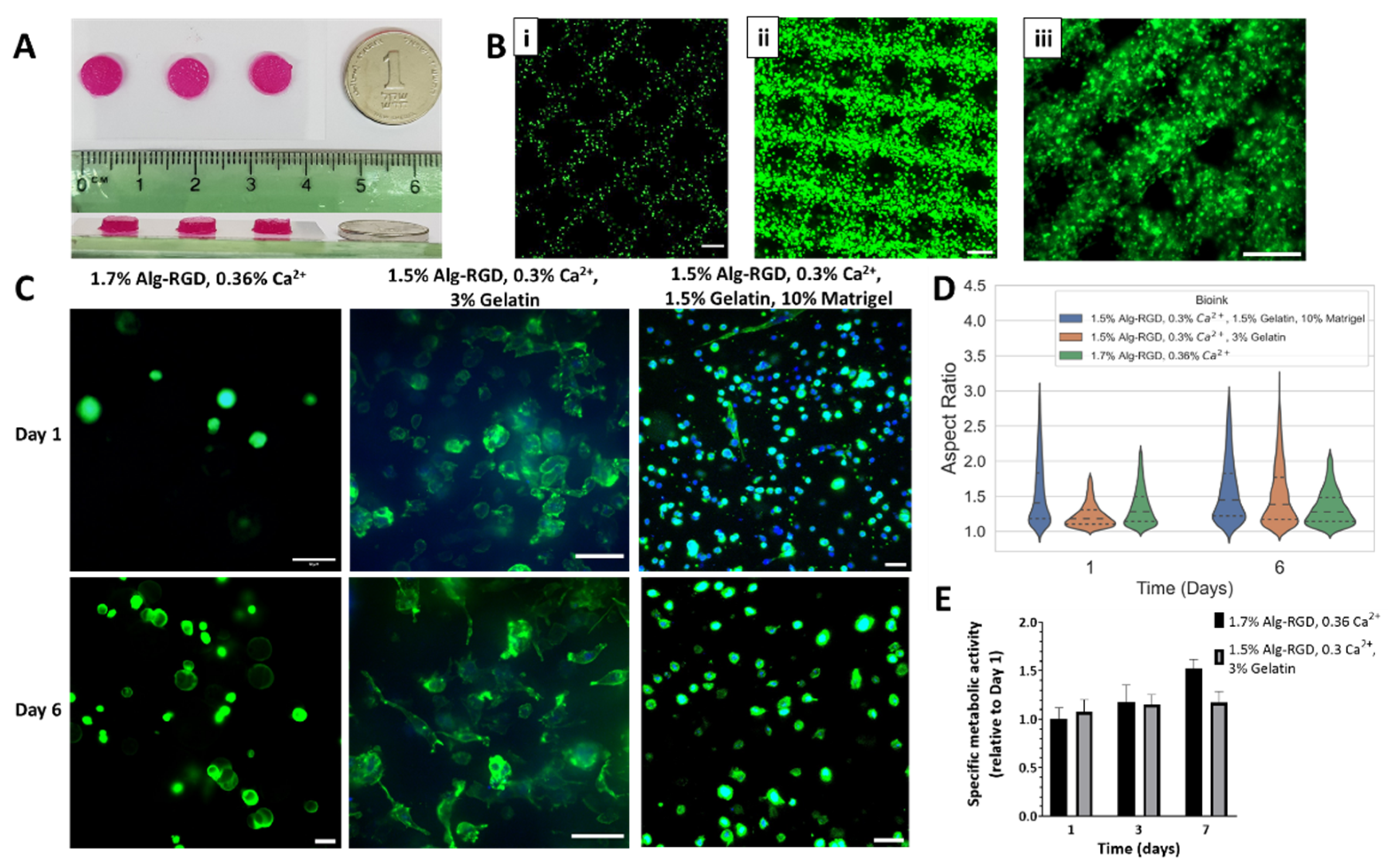 Gels 08 00769 g003 Gels 08 00769 g003
