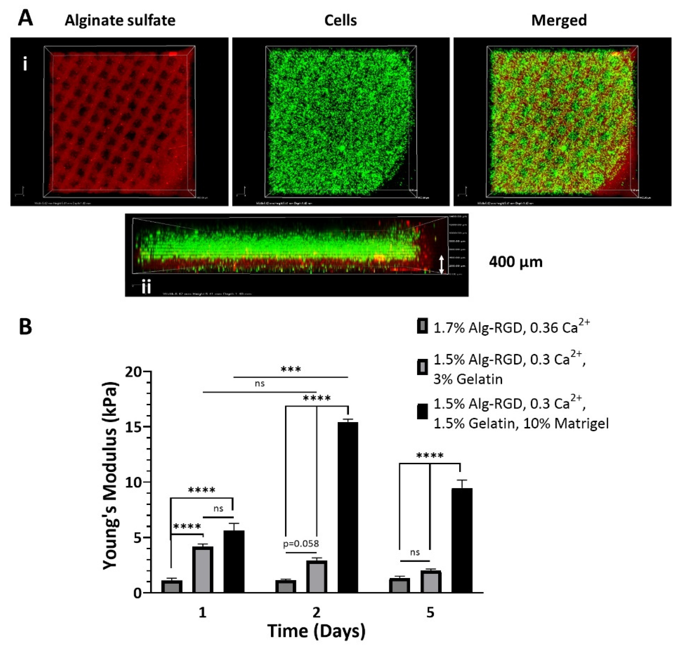 Gels 08 00769 g005 Gels 08 00769 g005