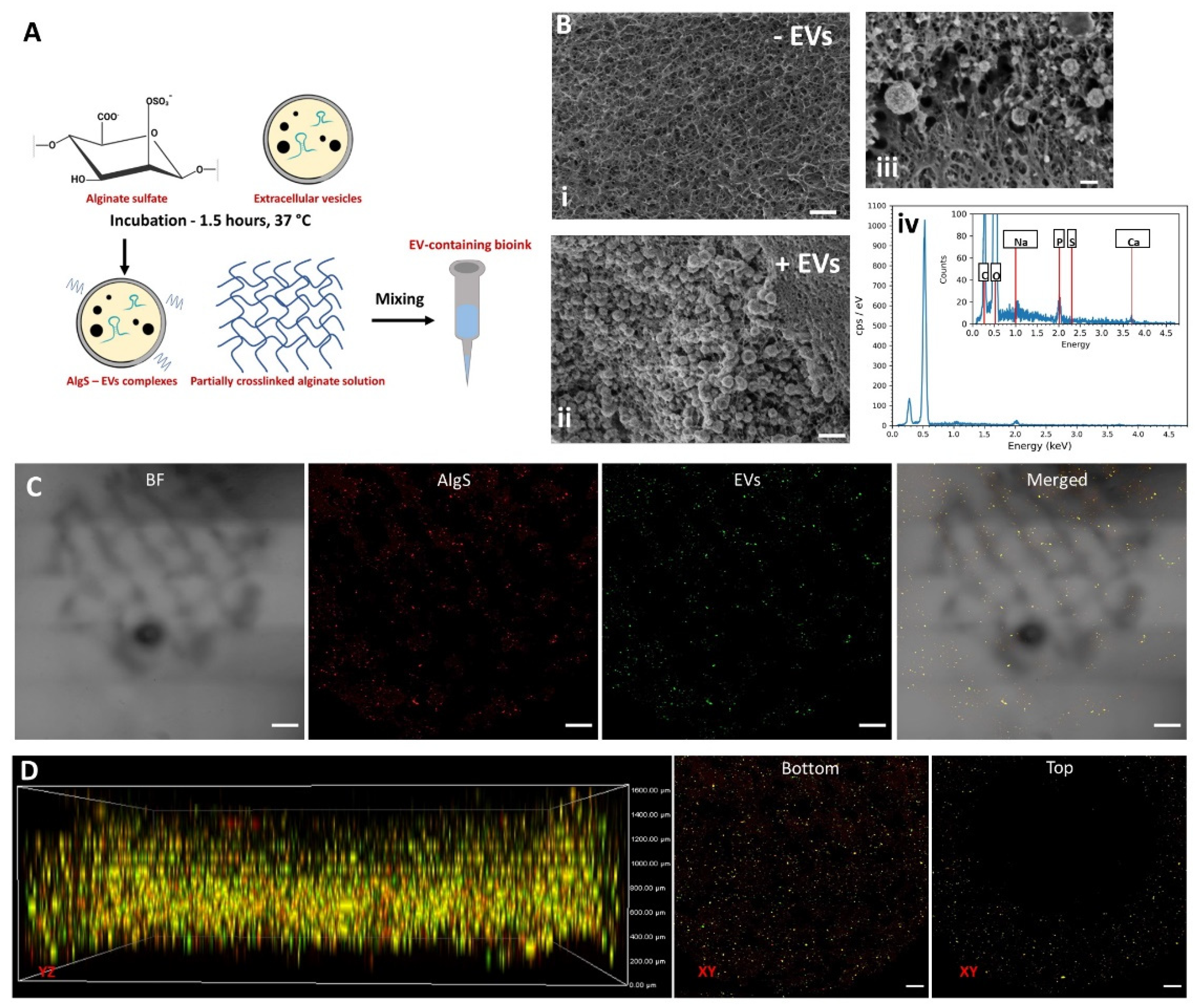Gels 08 00769 g007 Gels 08 00769 g007