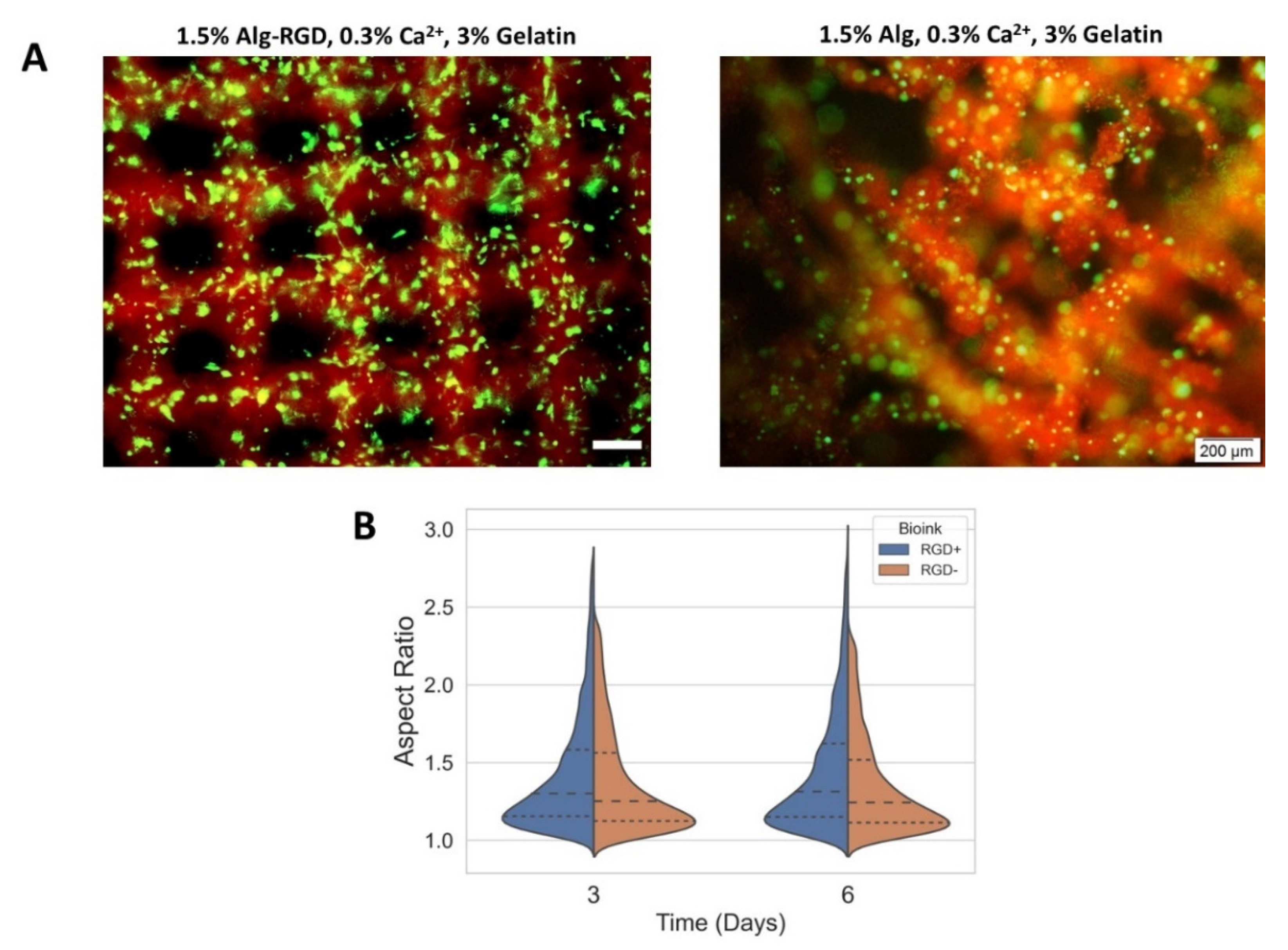 Gels 08 00769 g0a1 Gels 08 00769 g0a1