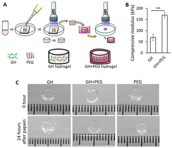 https://www.mdpi.com/gels/gels-08-00794/article_deploy/html/images/gels-08-00794-g001-550.jpg