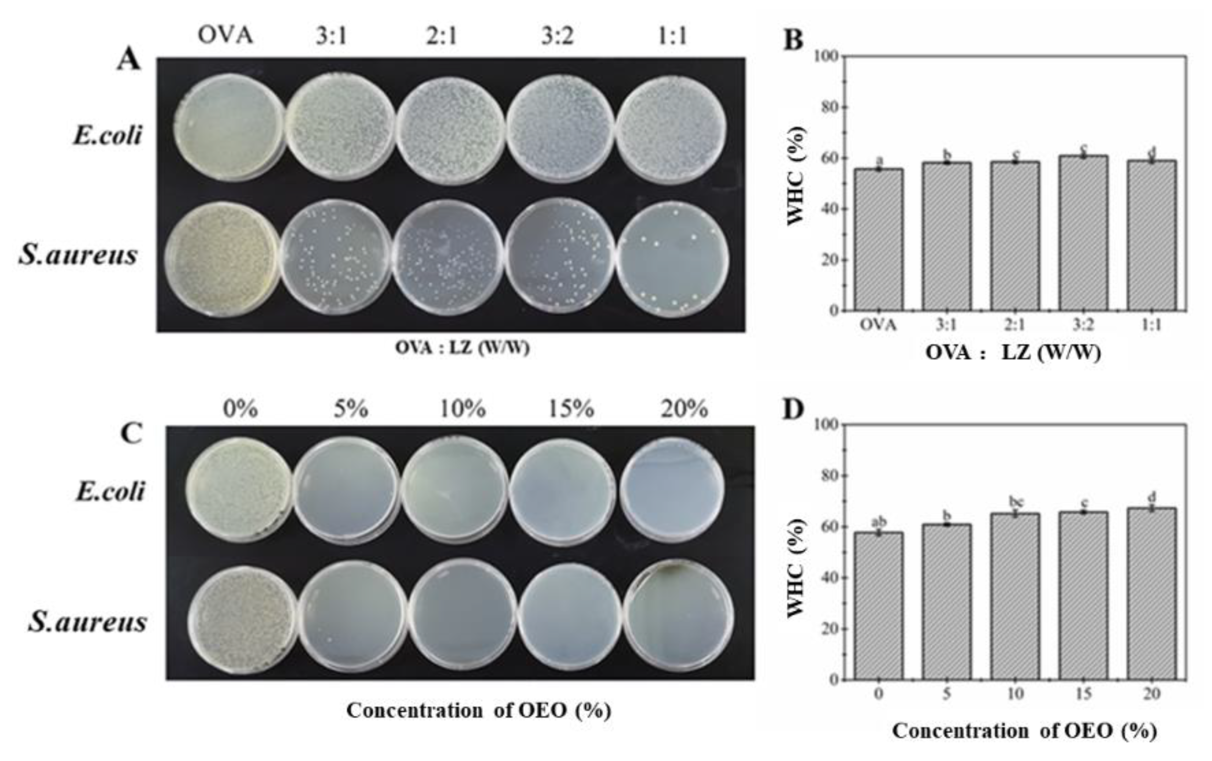 Gels 08 00838 g001 Gels 08 00838 g001