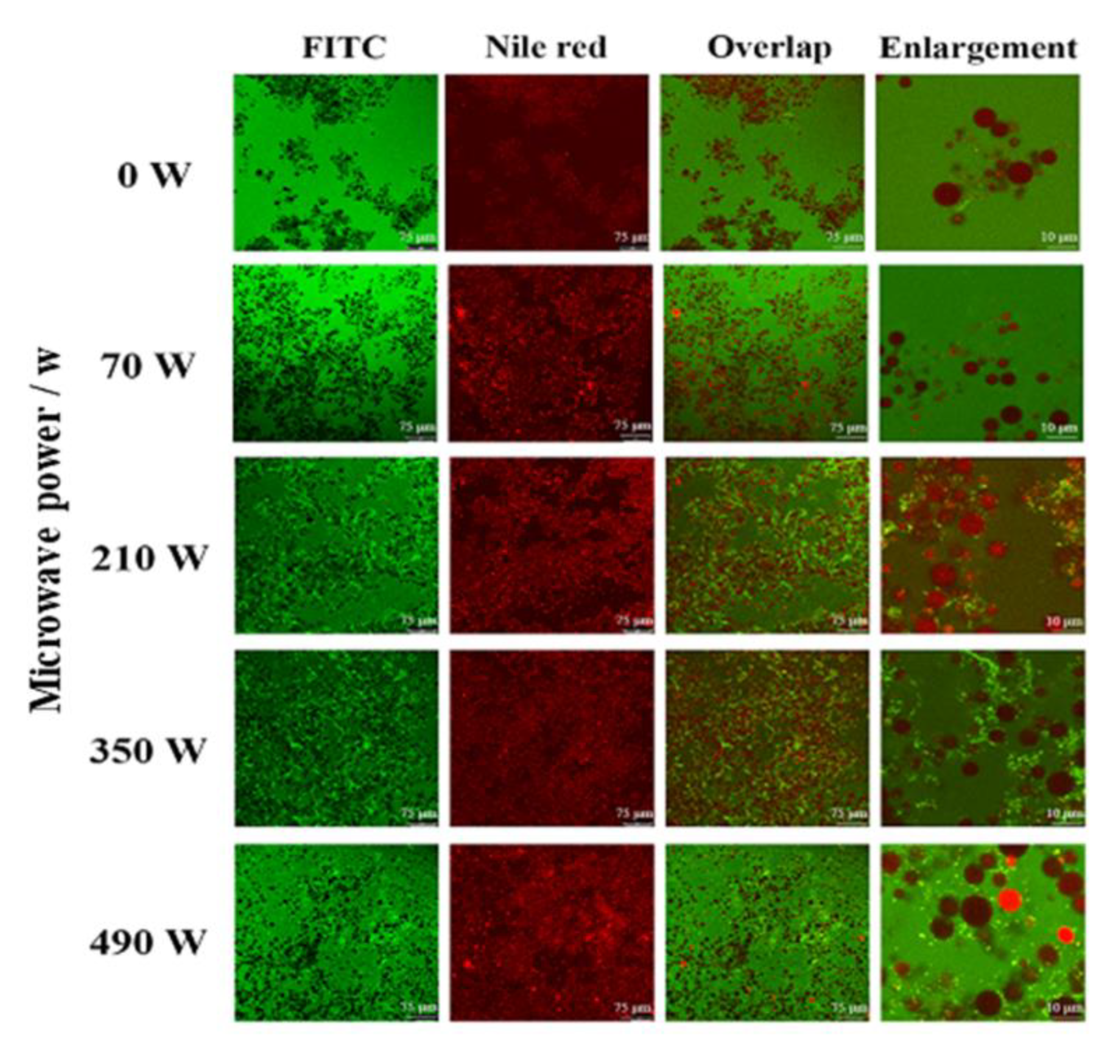 Gels 08 00838 g005 Gels 08 00838 g005