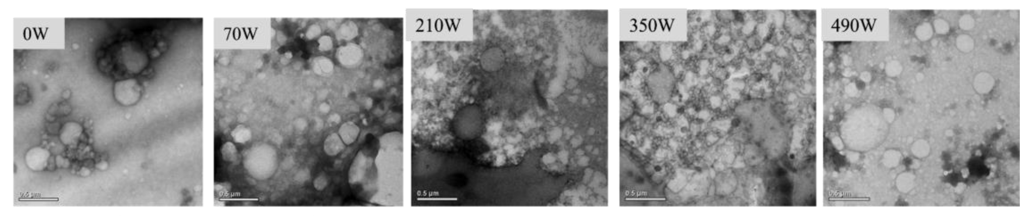 Gels 08 00838 g006 Gels 08 00838 g006