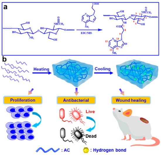 Gels | Free Full-Text | Update On Chitosan-Based Hydrogels: Preparation ...