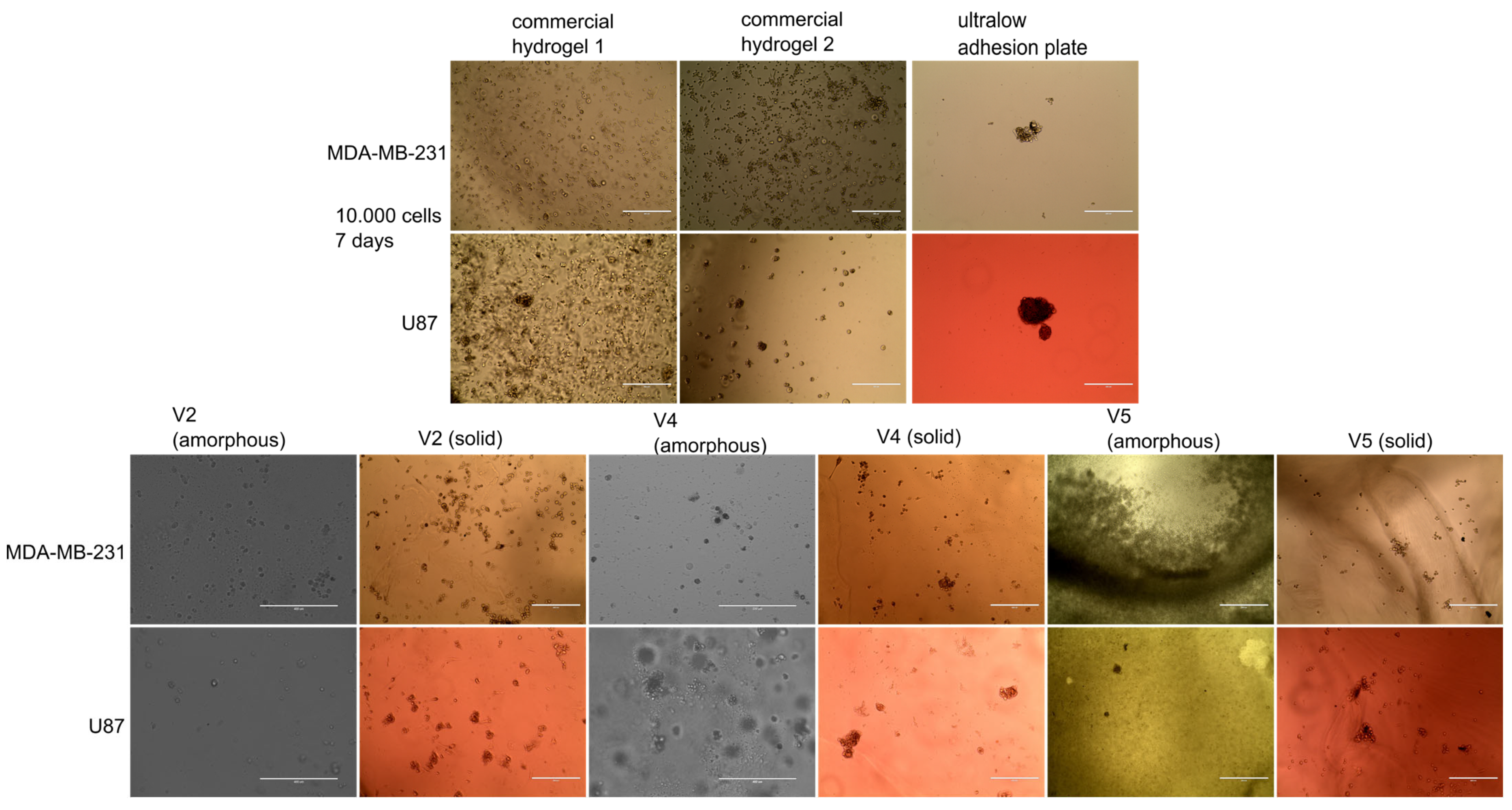 Gels 09 00051 g004 Gels 09 00051 g004