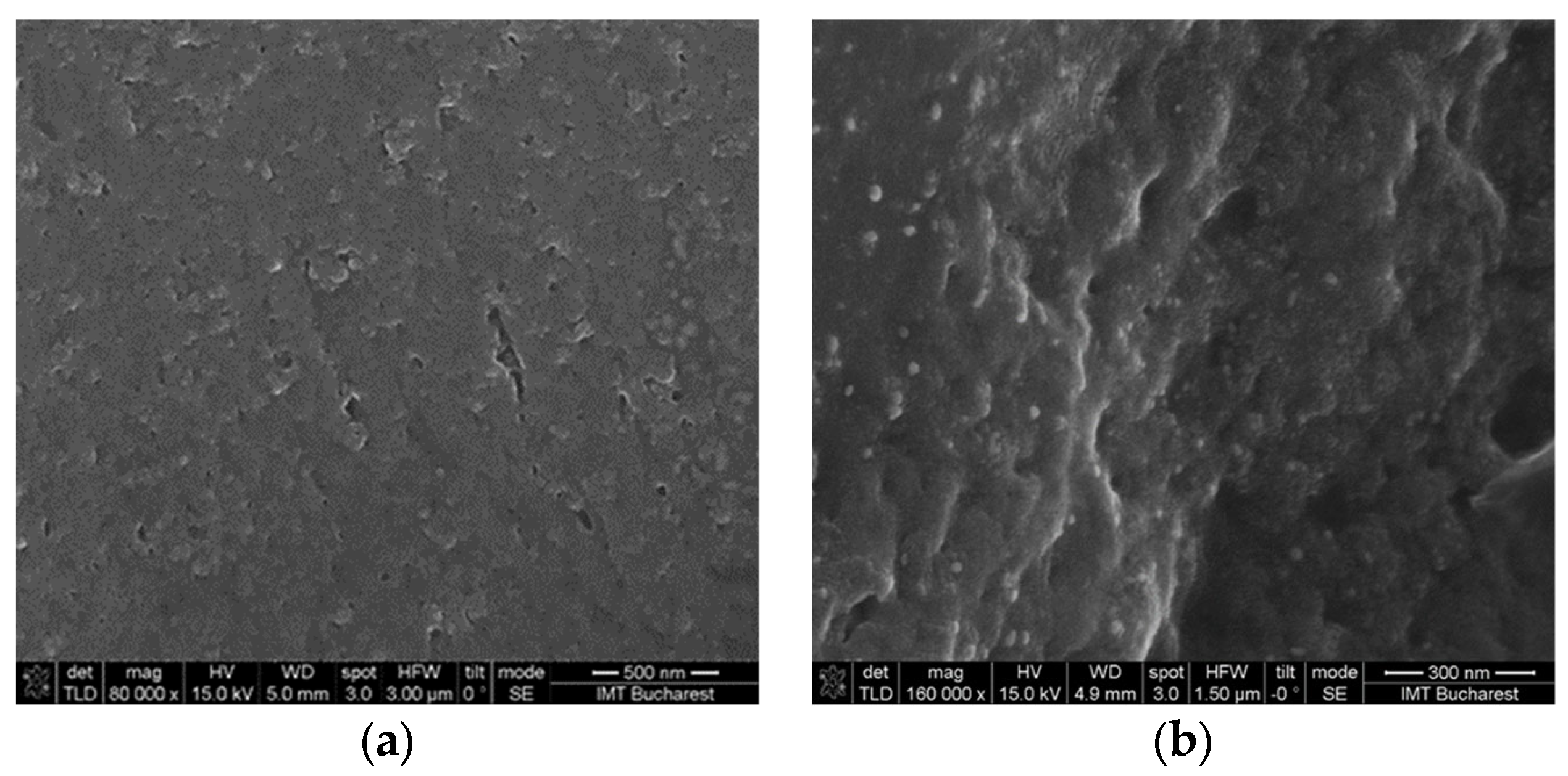 Gels 09 00051 g006 Gels 09 00051 g006