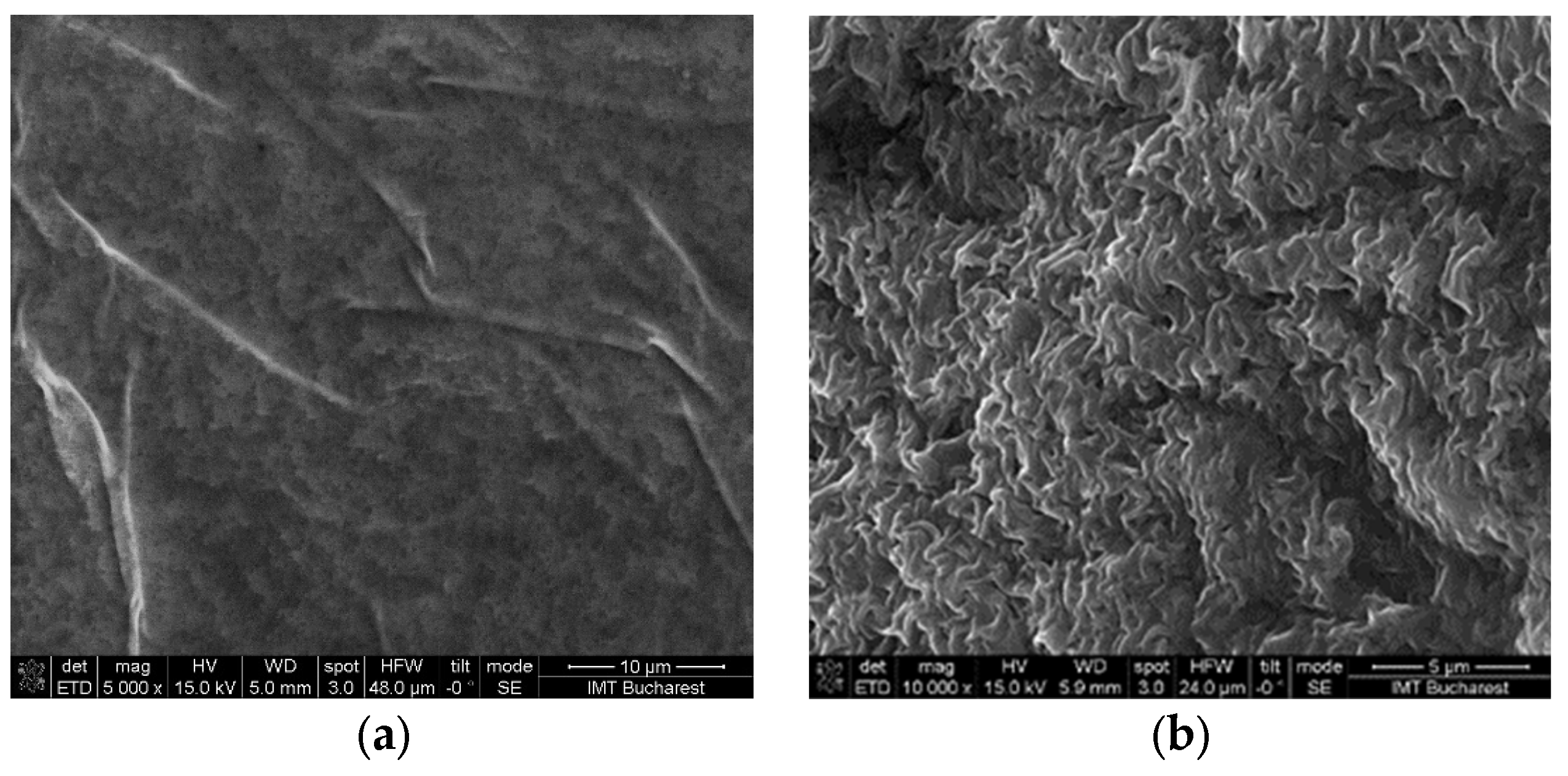 Gels 09 00051 g007 Gels 09 00051 g007