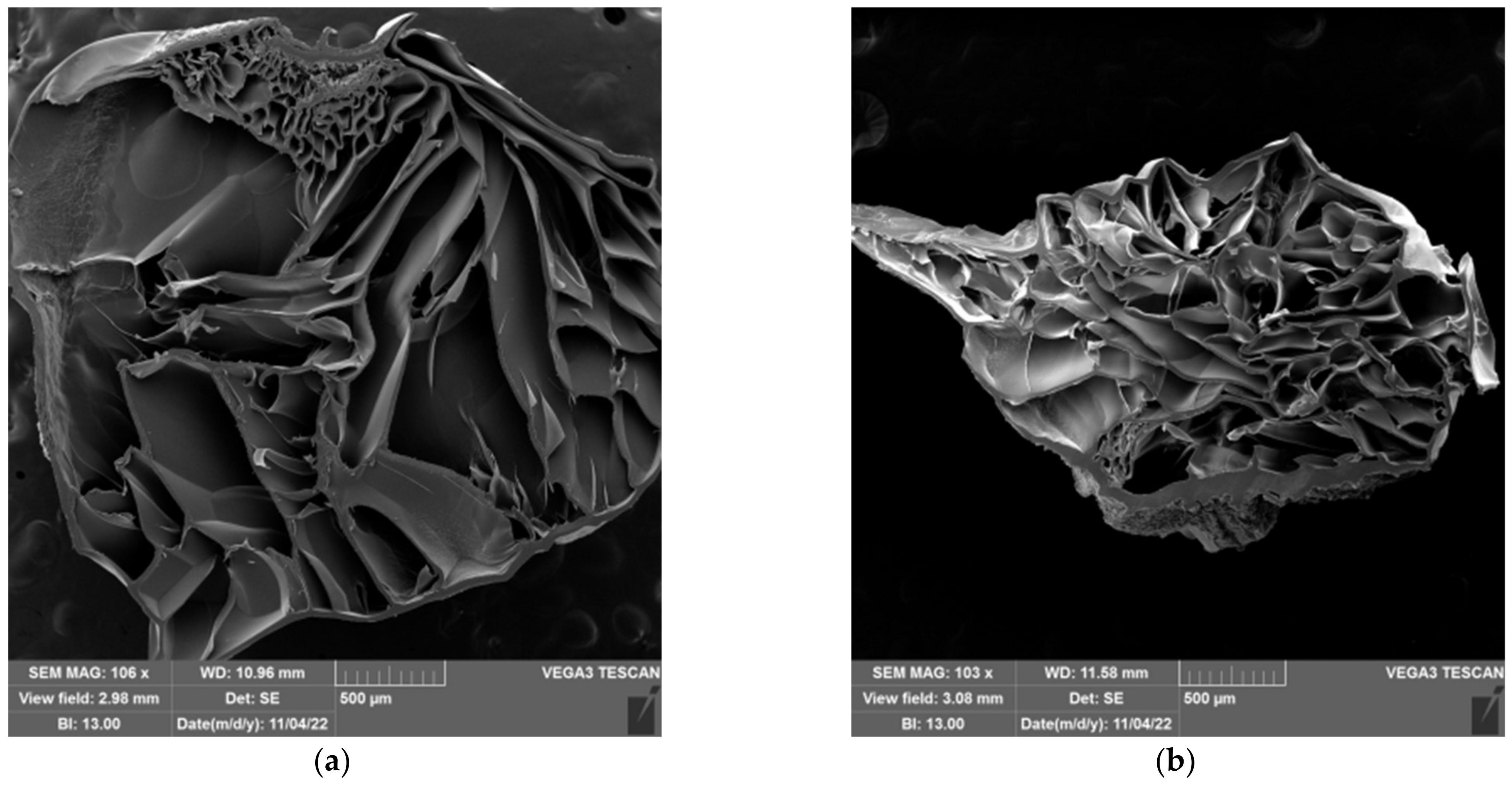 Gels 09 00094 g012a Gels 09 00094 g012a