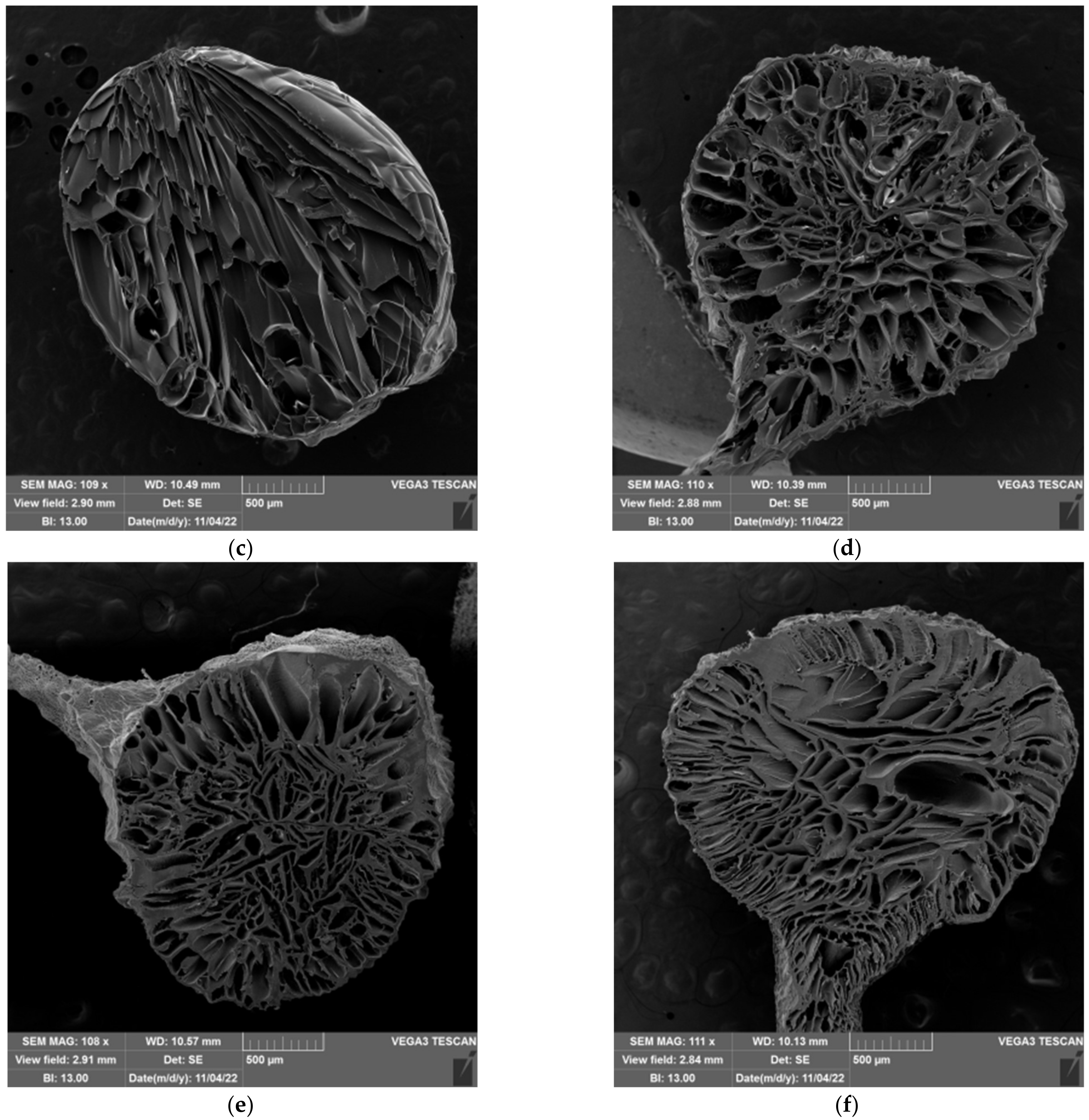 Gels 09 00094 g012b Gels 09 00094 g012b