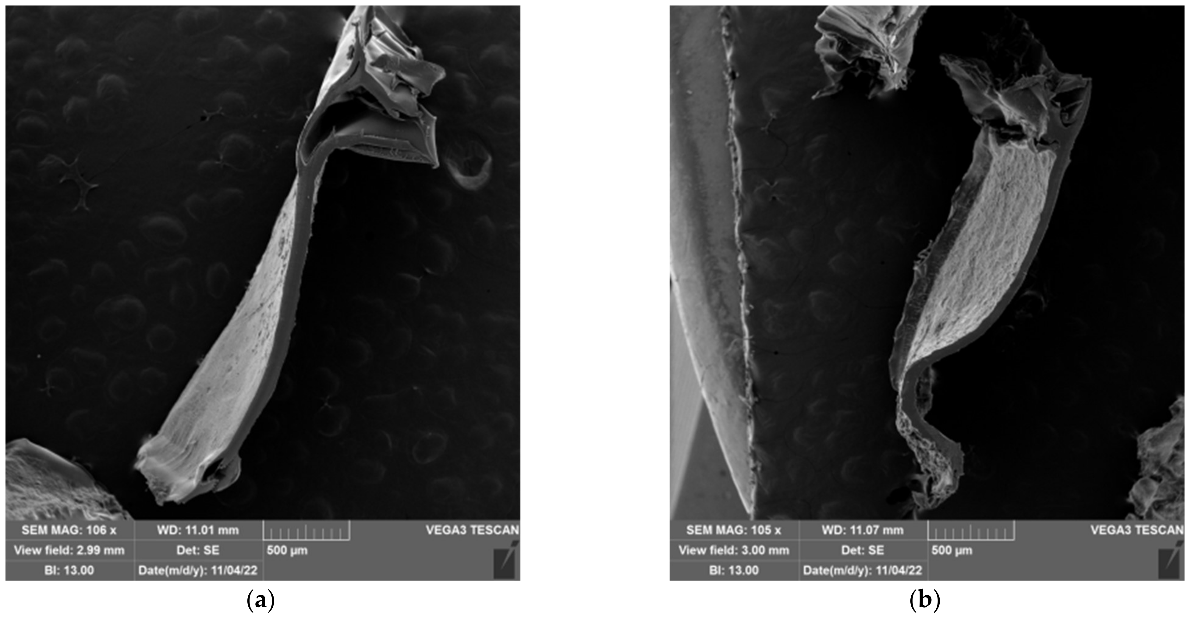 Gels 09 00094 g013a Gels 09 00094 g013a