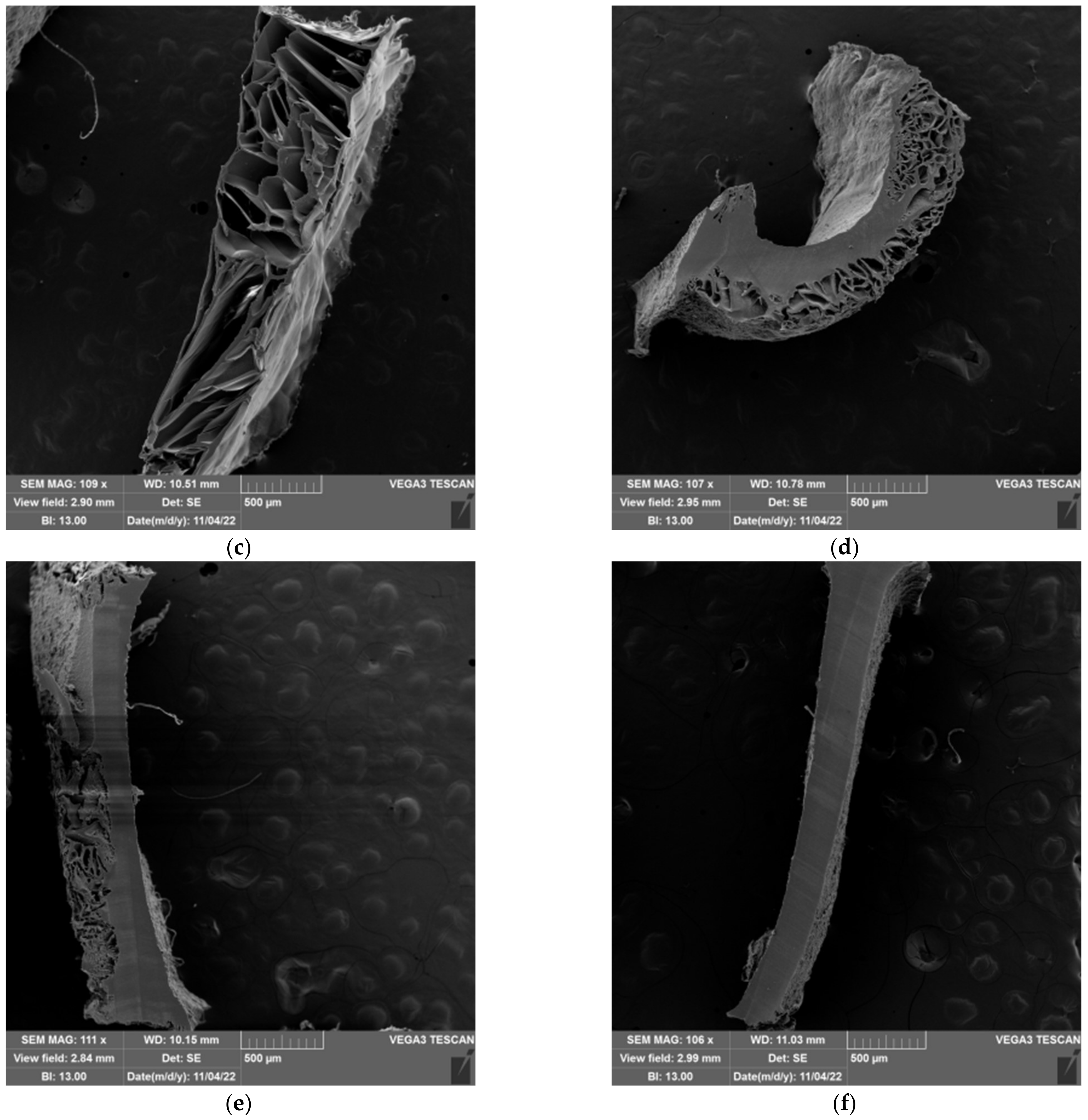 Gels 09 00094 g013b Gels 09 00094 g013b