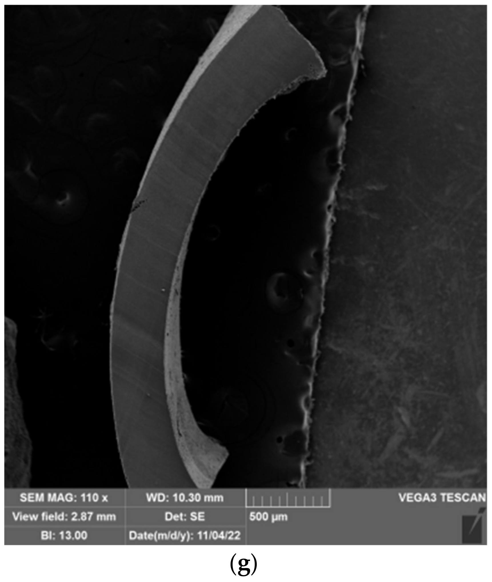 Gels 09 00094 g013c Gels 09 00094 g013c