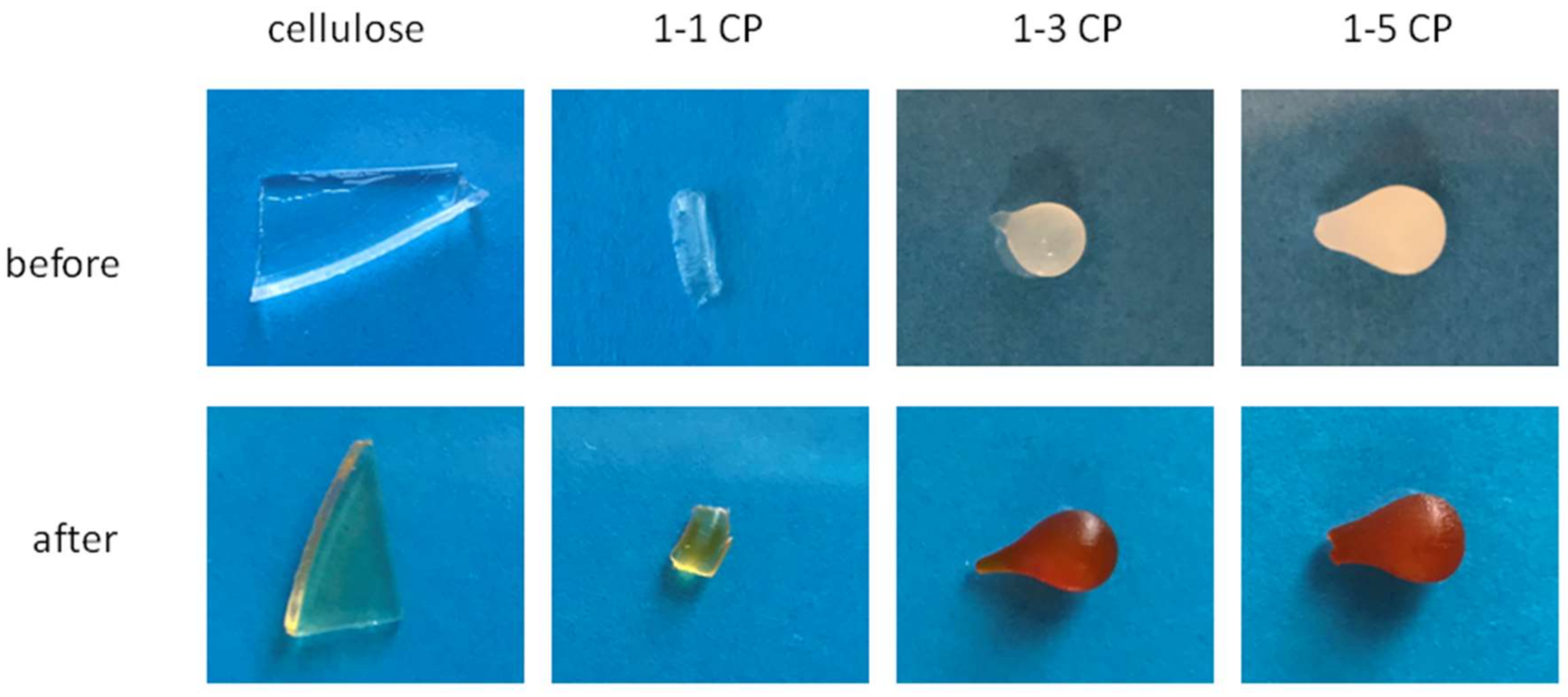 Gels 09 00094 g015 Gels 09 00094 g015