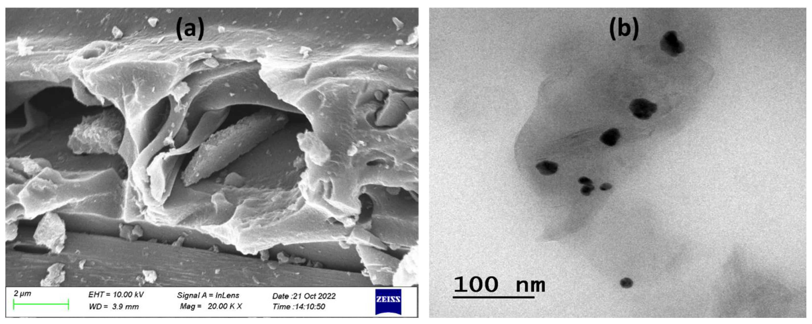 Gels 09 00111 g003 Gels 09 00111 g003