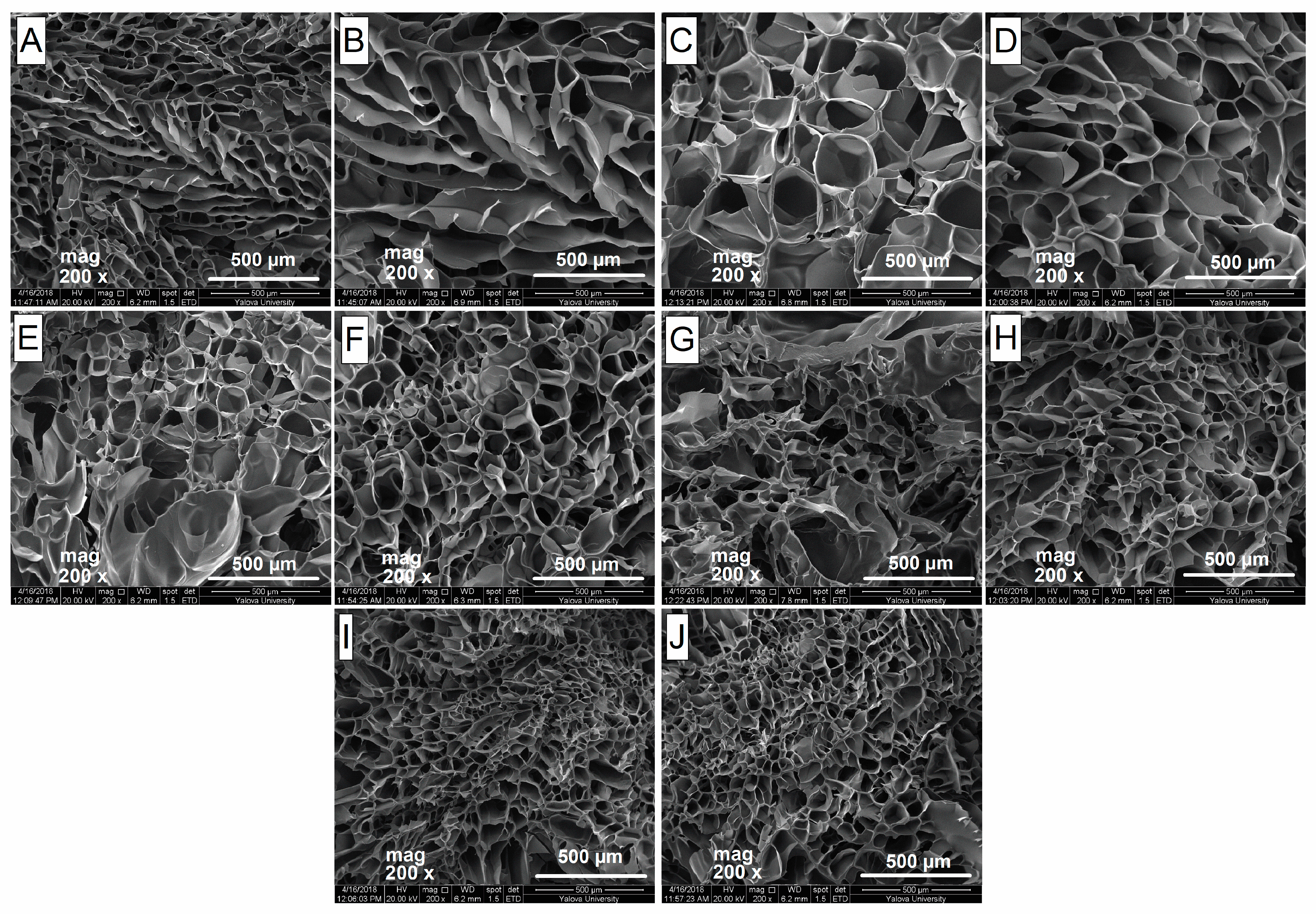 Gels 09 00127 g004 Gels 09 00127 g004