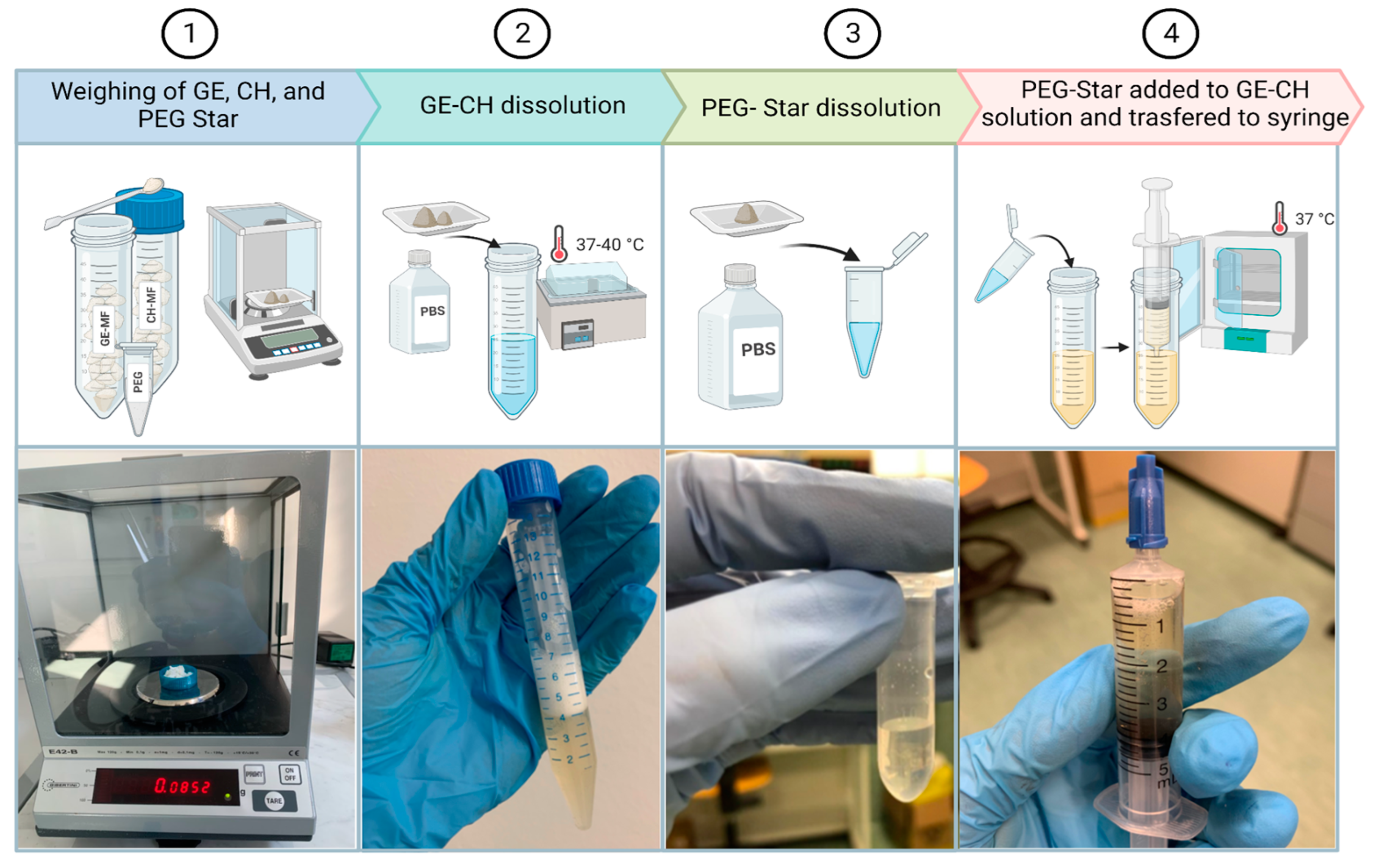 Gels 09 00129 g007