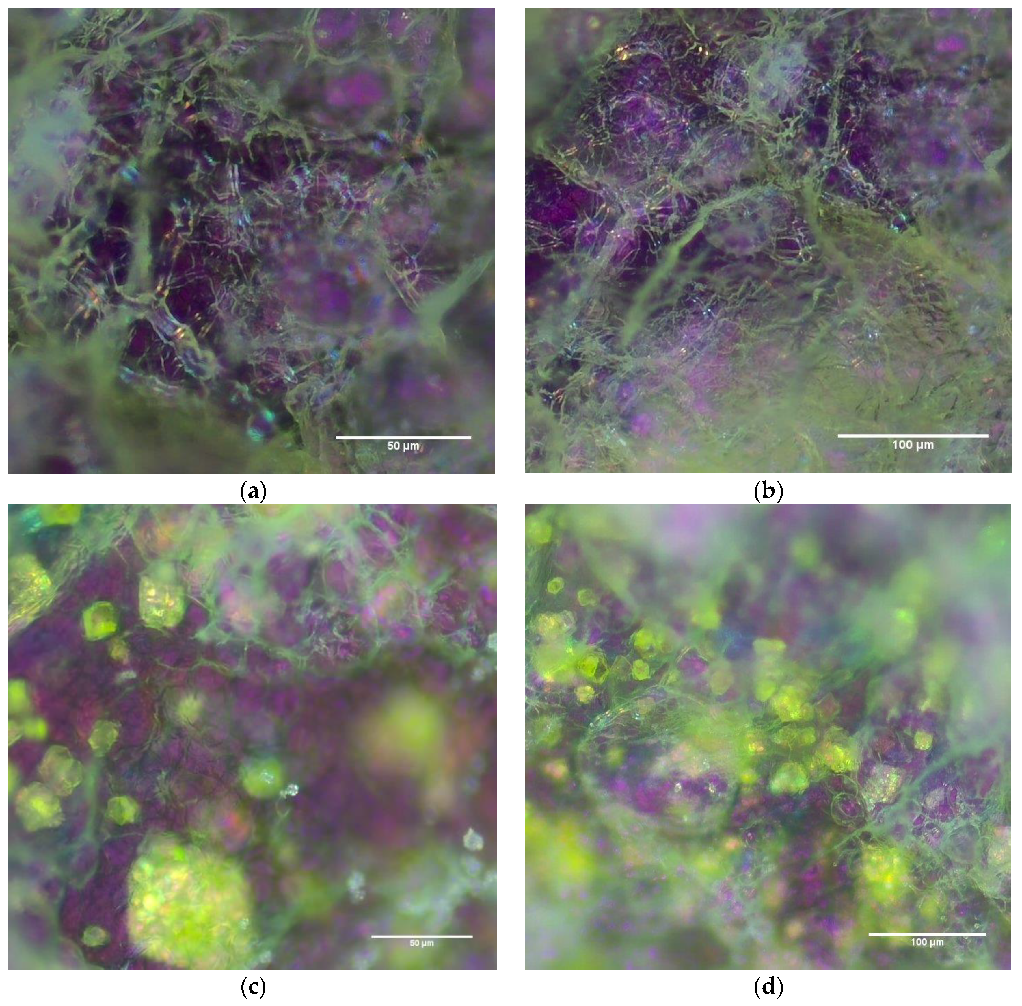 Gels 09 00134 g006 Gels 09 00134 g006