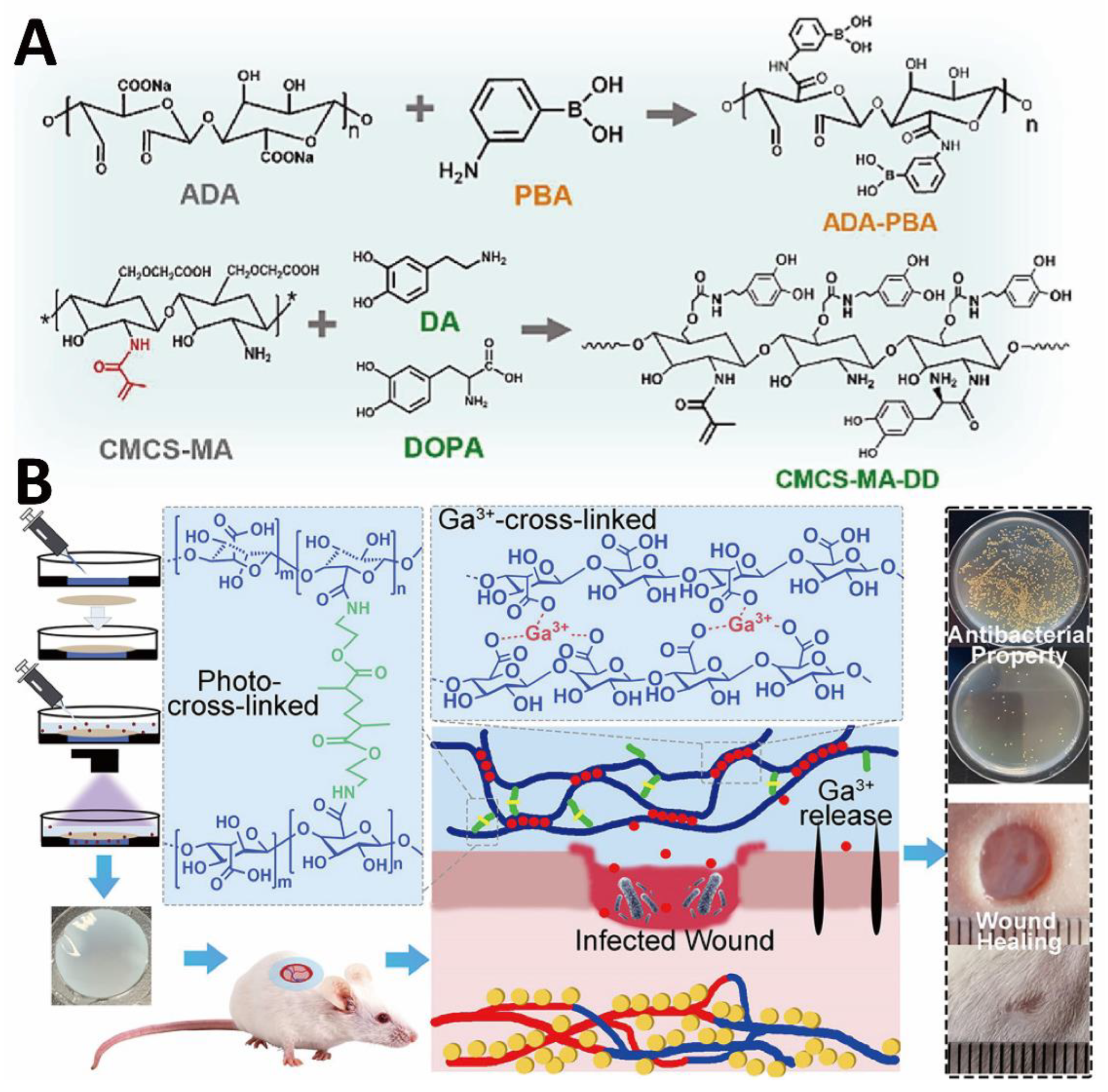 Gels 09 00138 g004 Gels 09 00138 g004