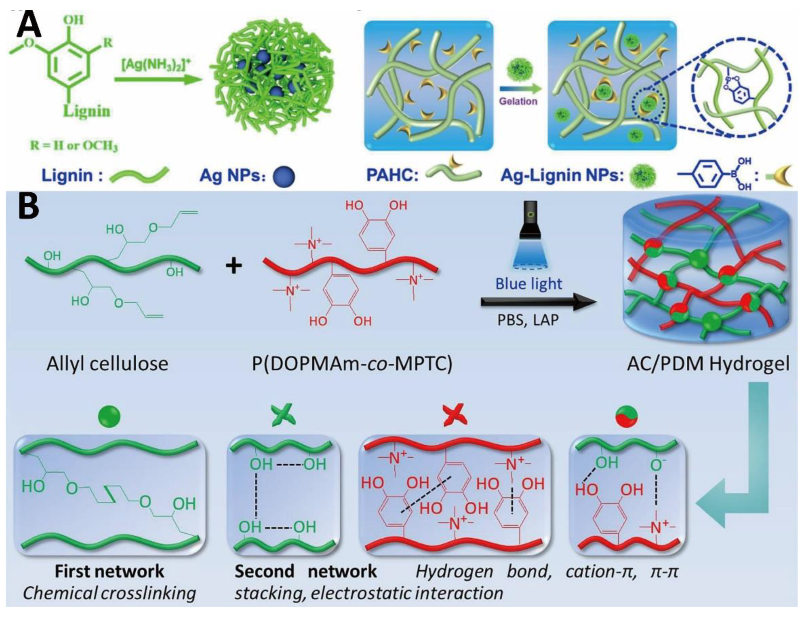 Gels 09 00138 g005 Gels 09 00138 g005