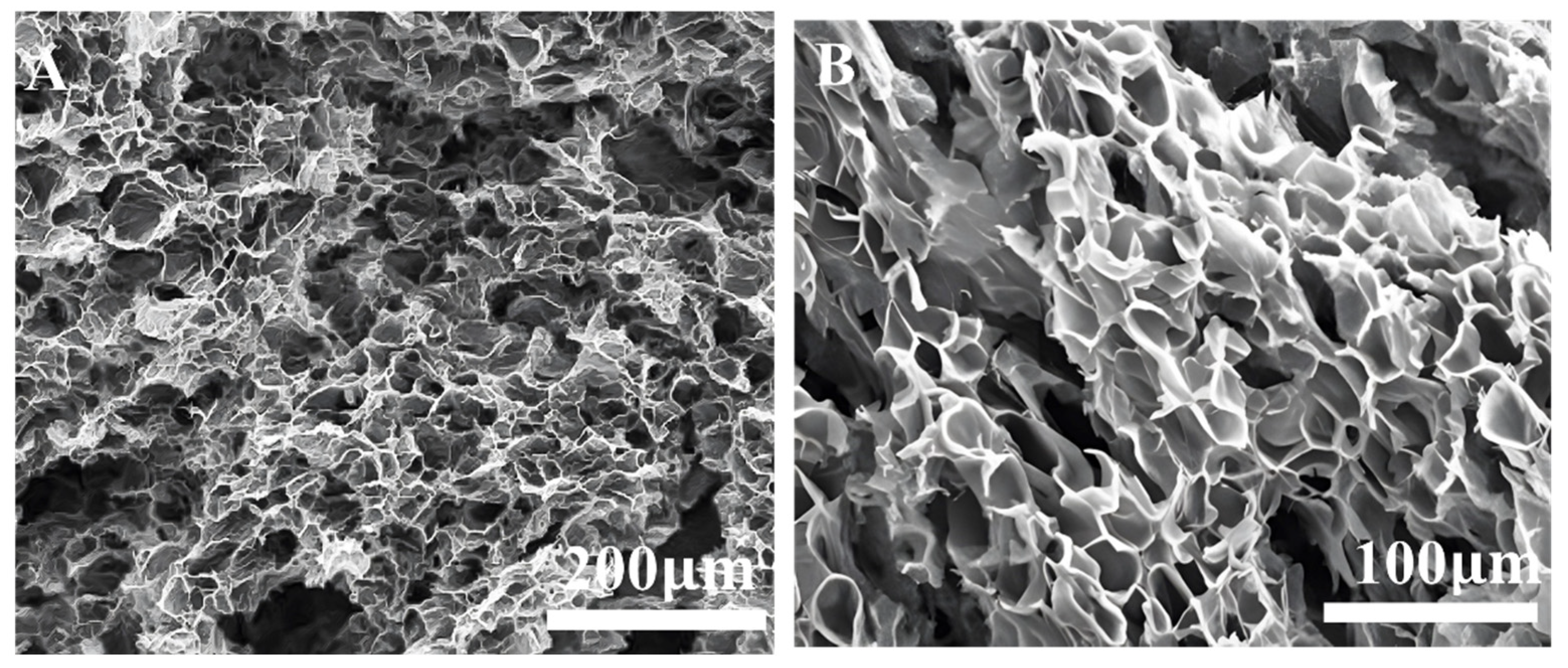 Gels 09 00156 g006a Gels 09 00156 g006a