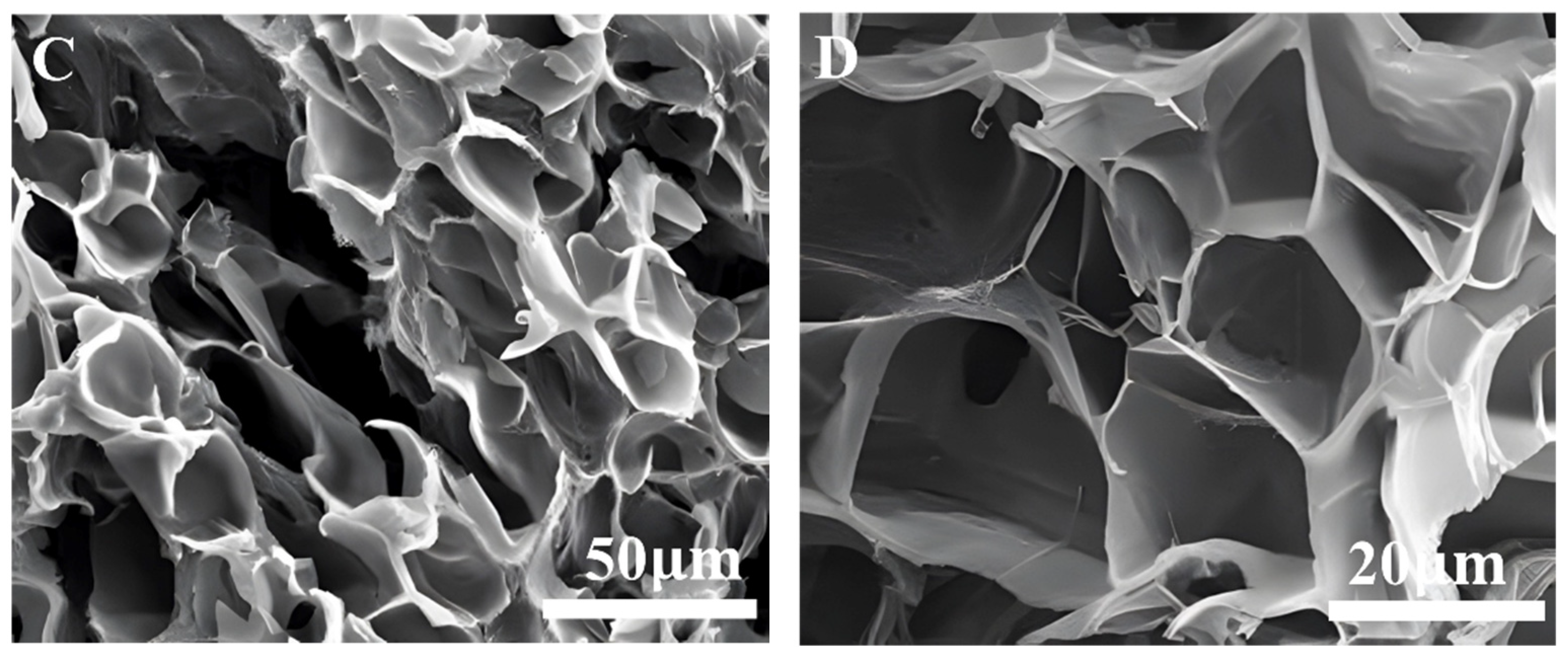 Gels 09 00156 g006b Gels 09 00156 g006b