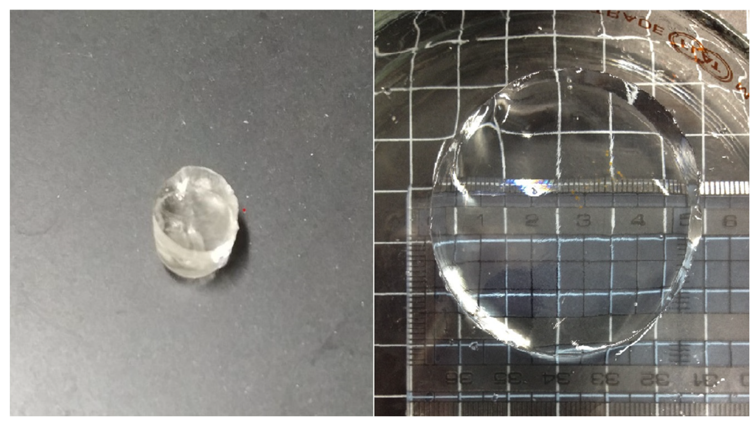 Gels 09 00159 g003 Gels 09 00159 g003