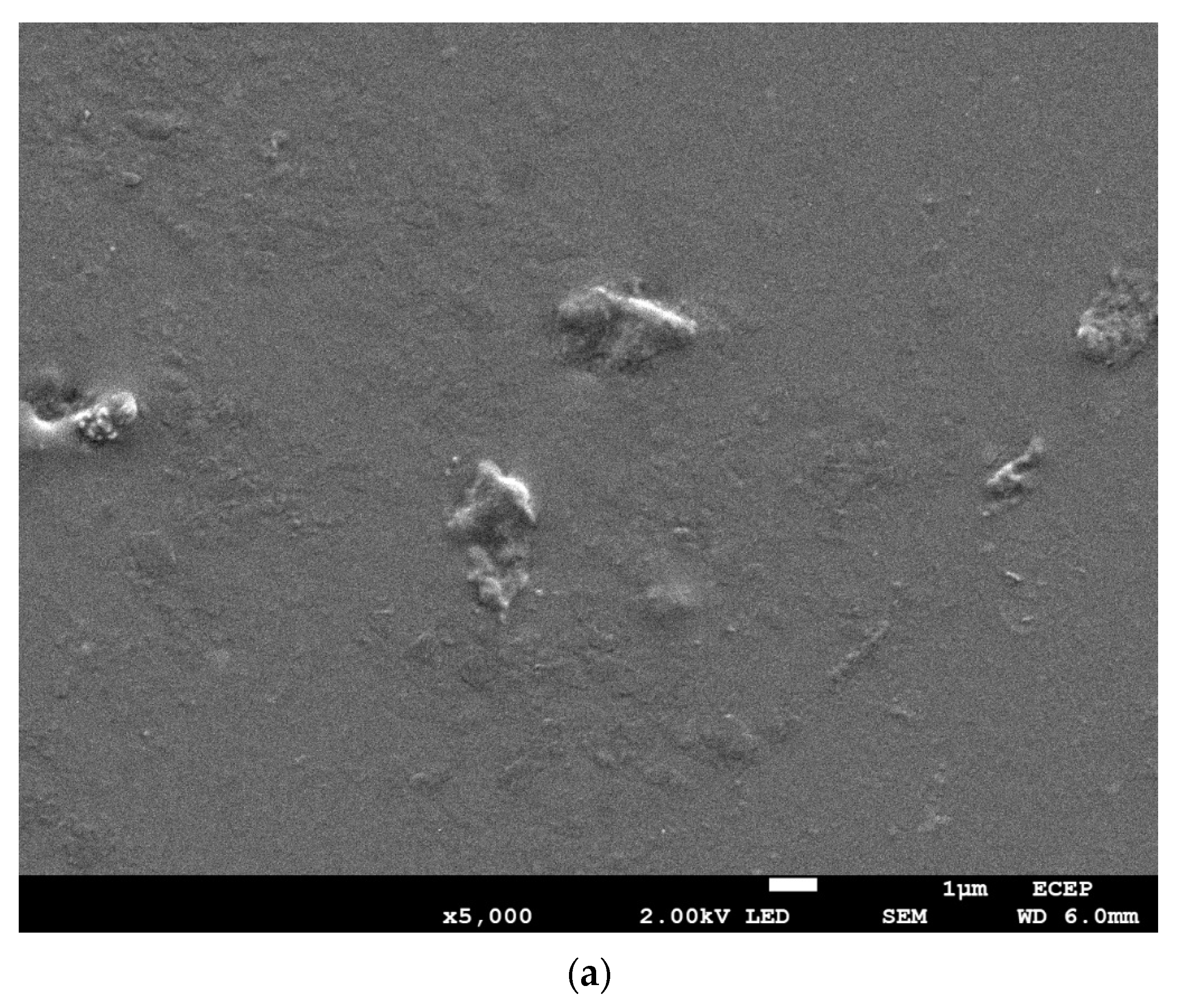 Gels 09 00159 g008a Gels 09 00159 g008a