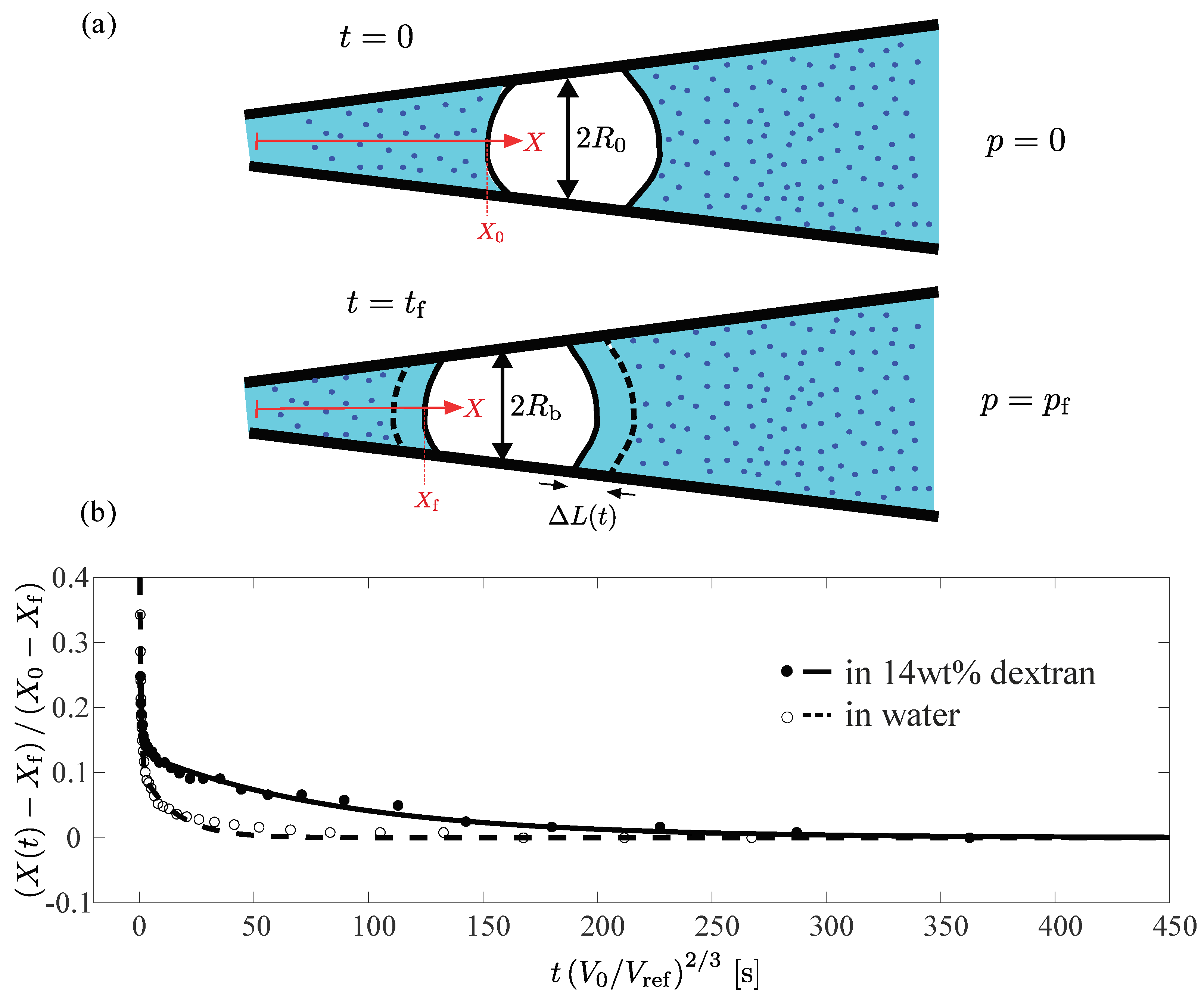 Gels 09 00194 g006 Gels 09 00194 g006