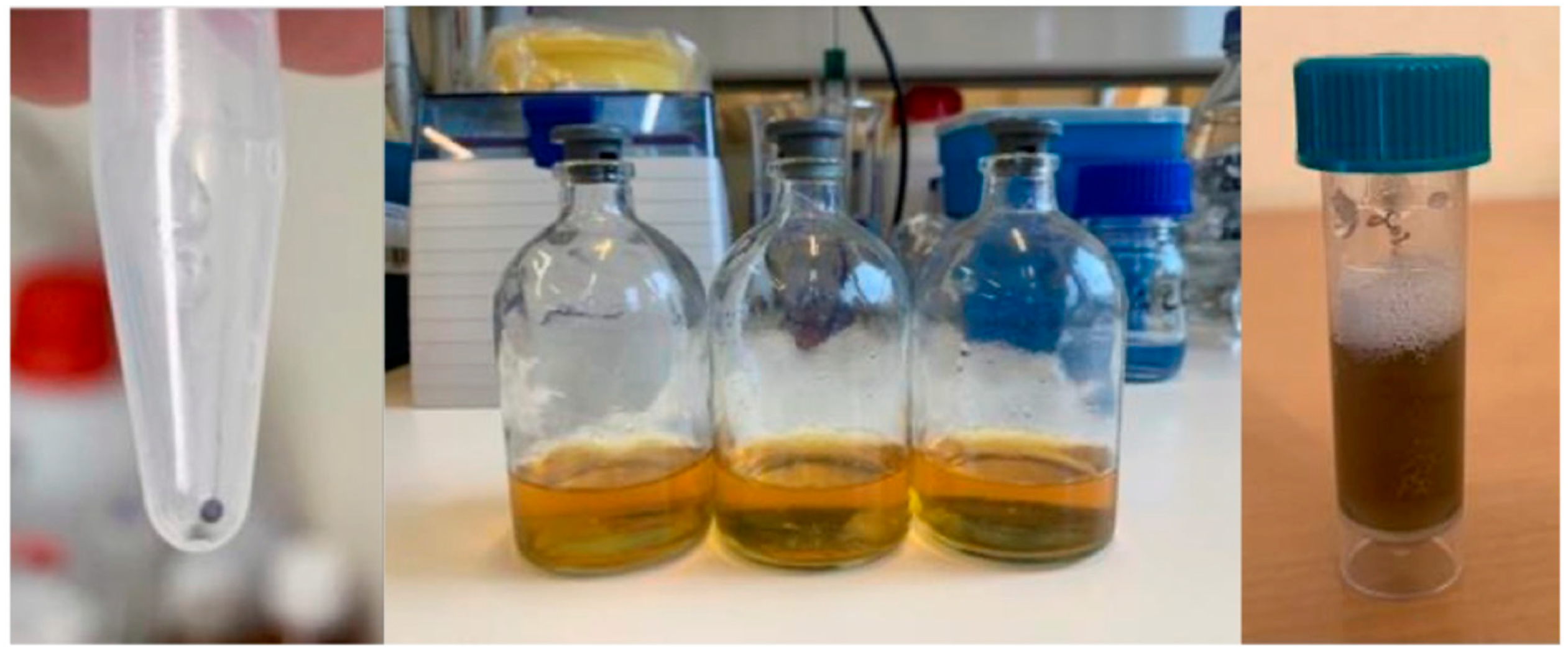 Gels 09 00200 g003 Gels 09 00200 g003