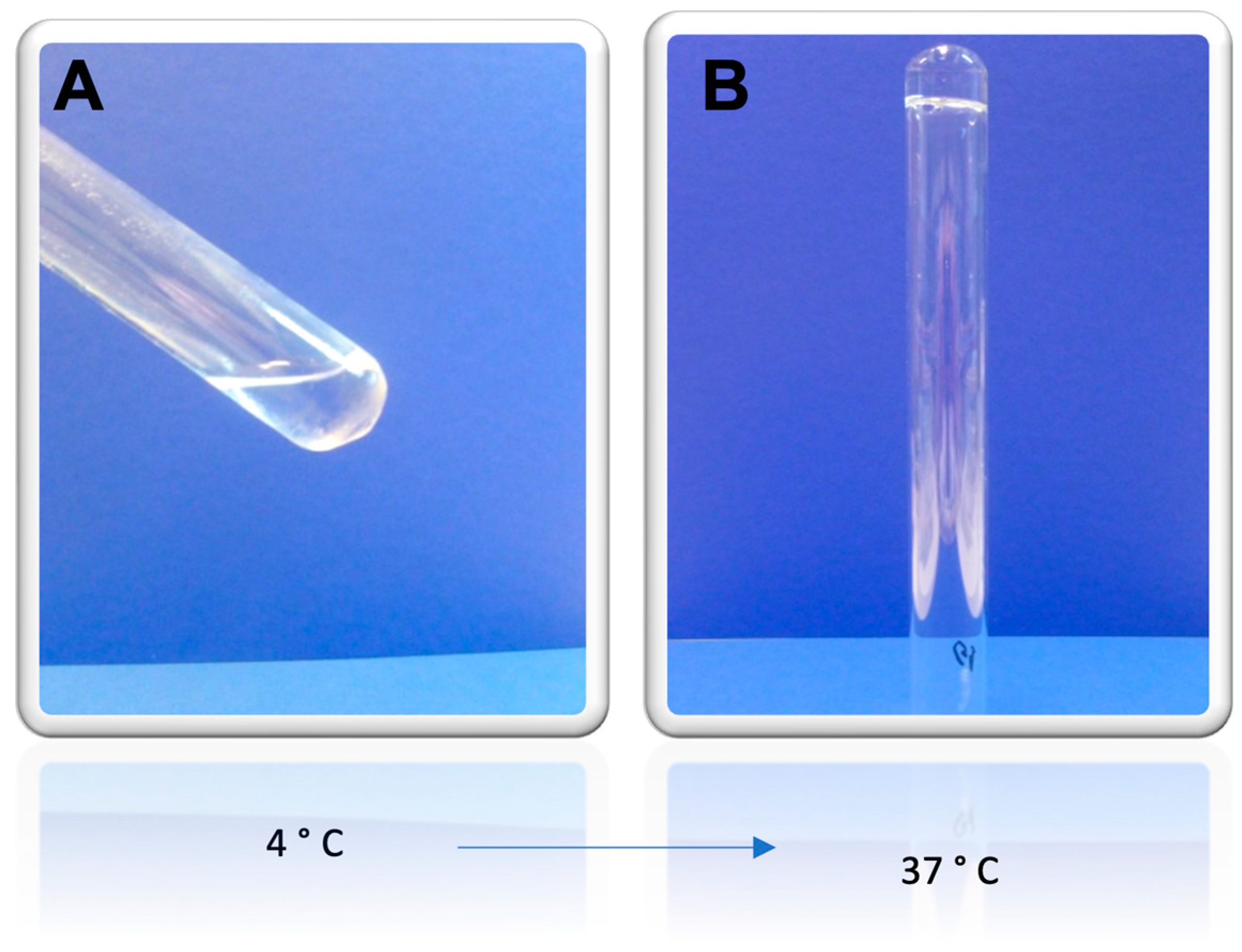 Gels 09 00200 g005 Gels 09 00200 g005