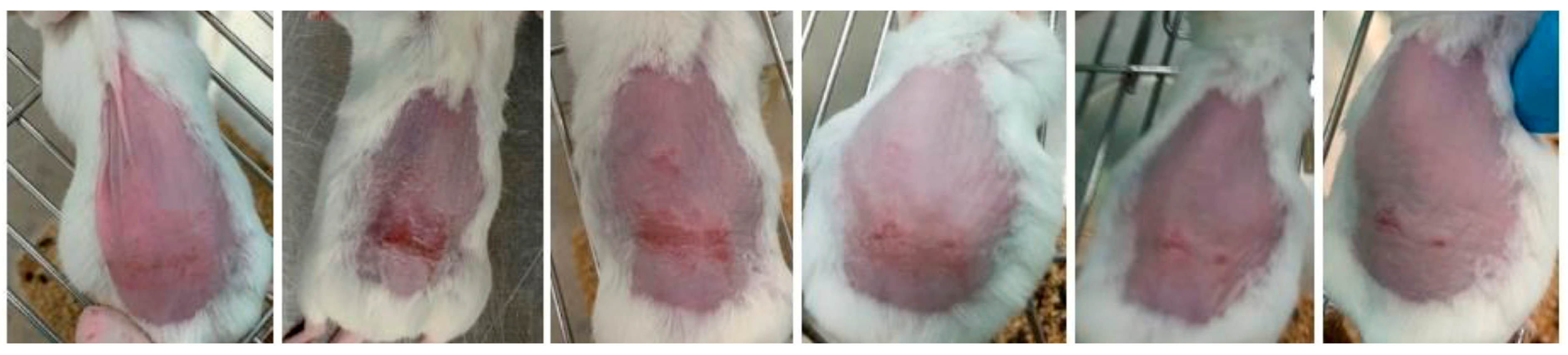 Gels 09 00200 g007 Gels 09 00200 g007