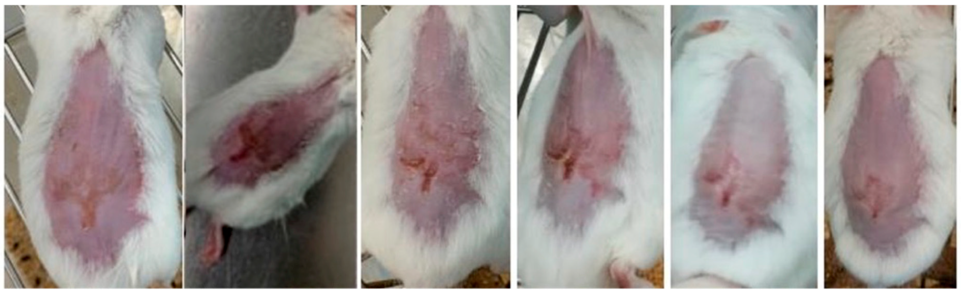 Gels 09 00200 g008 Gels 09 00200 g008