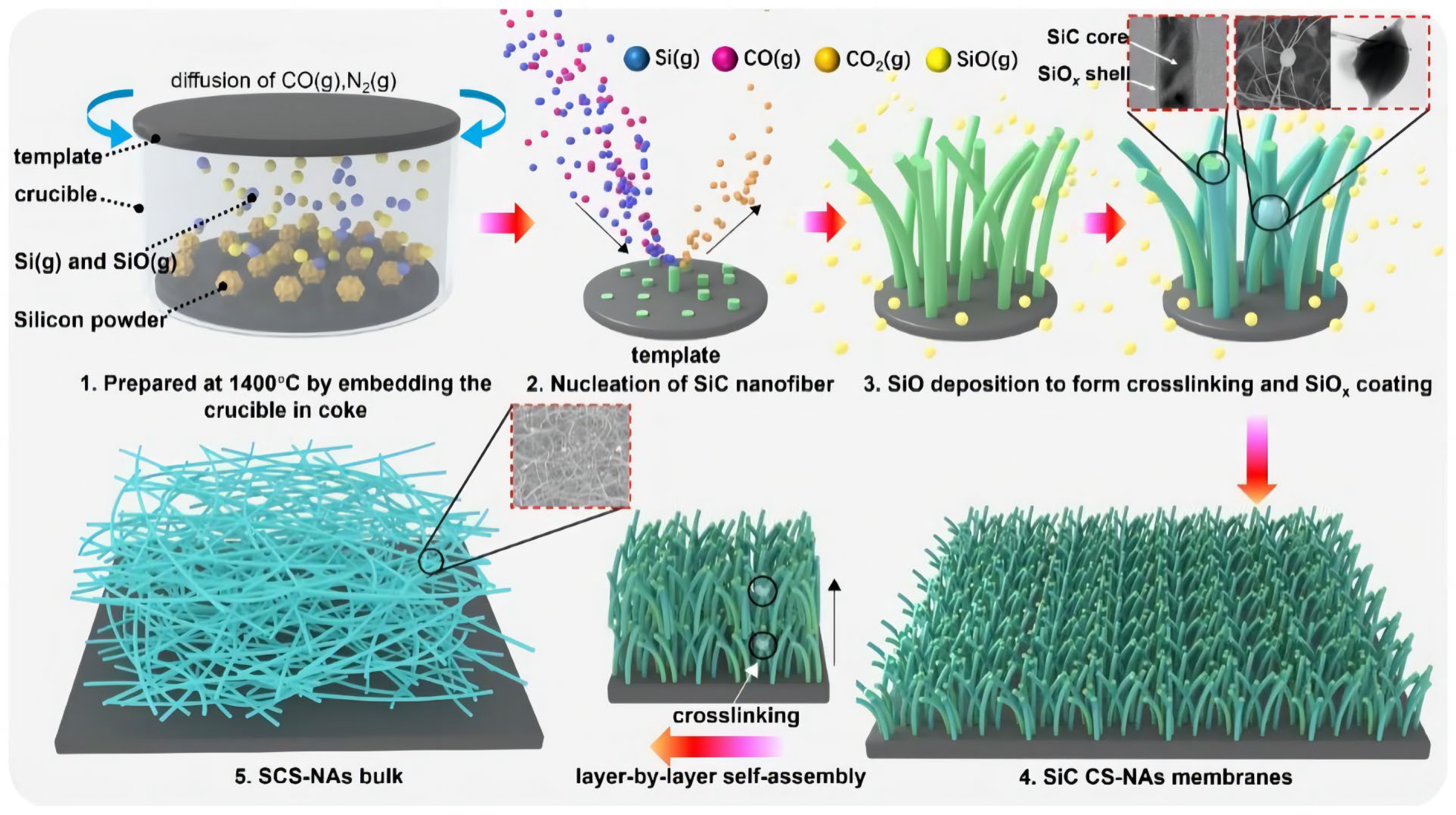 Gels 09 00208 g011 Gels 09 00208 g011