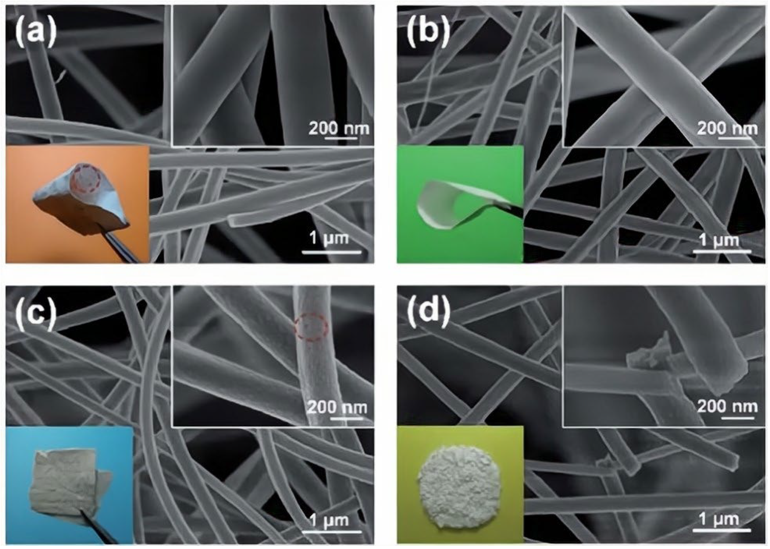 Gels 09 00208 g012 Gels 09 00208 g012