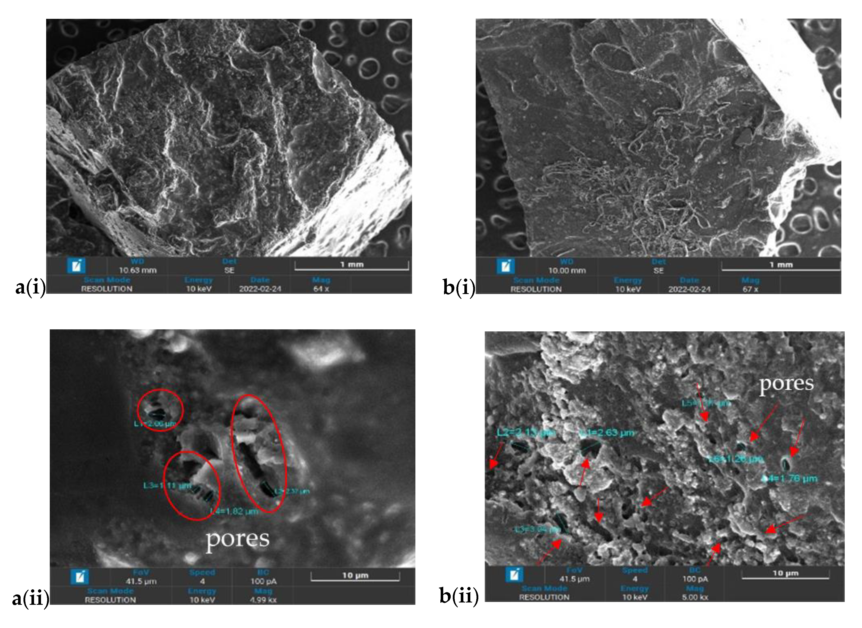Gels 09 00229 g003 Gels 09 00229 g003