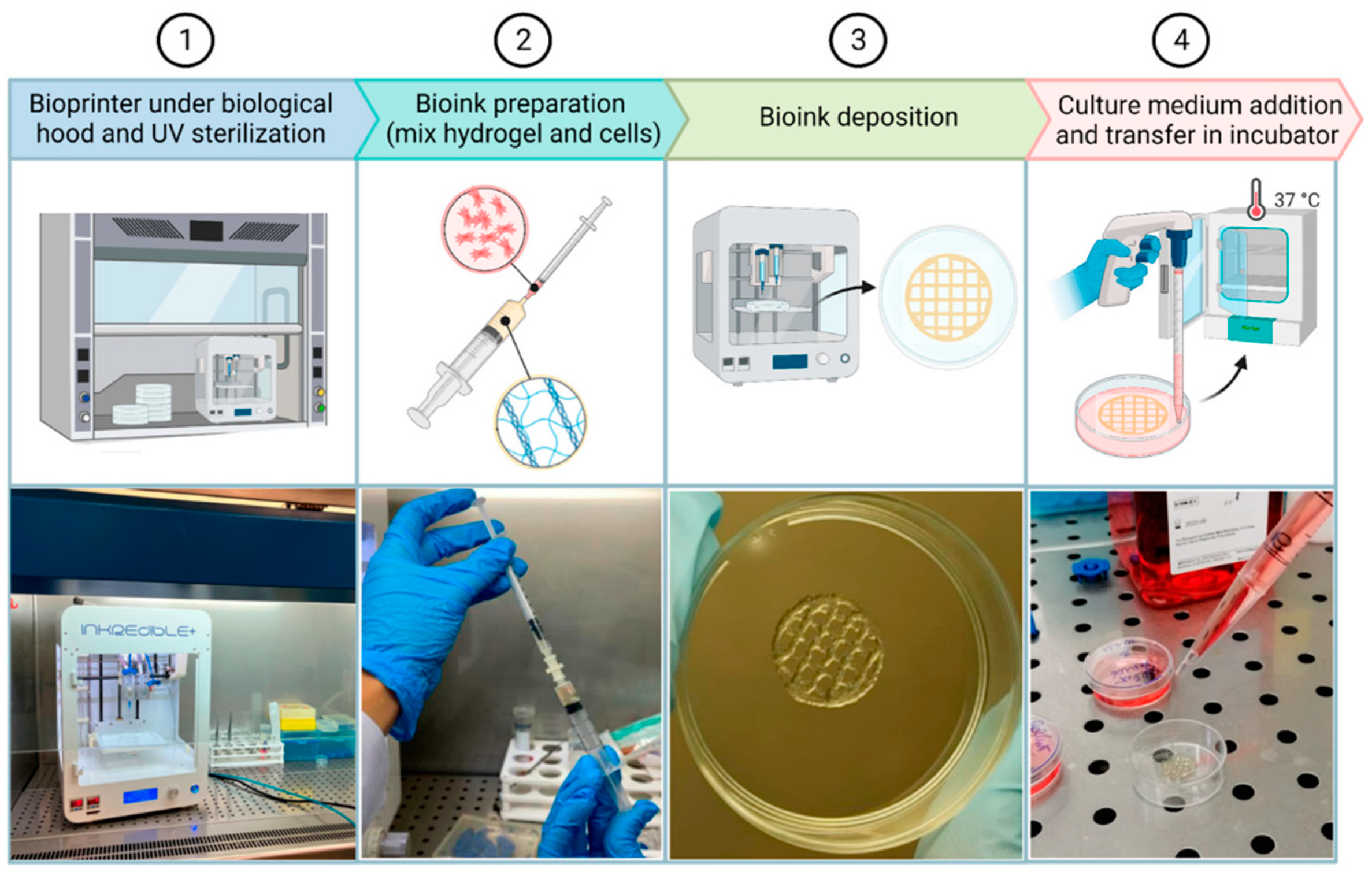 Gels 09 00230 g006 Gels 09 00230 g006