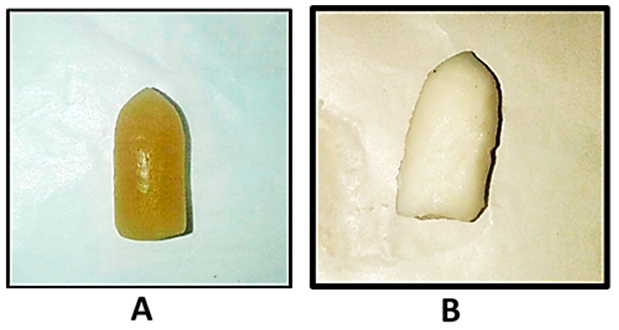 Suppository Moulds at Best Price in Mumbai, Maharashtra