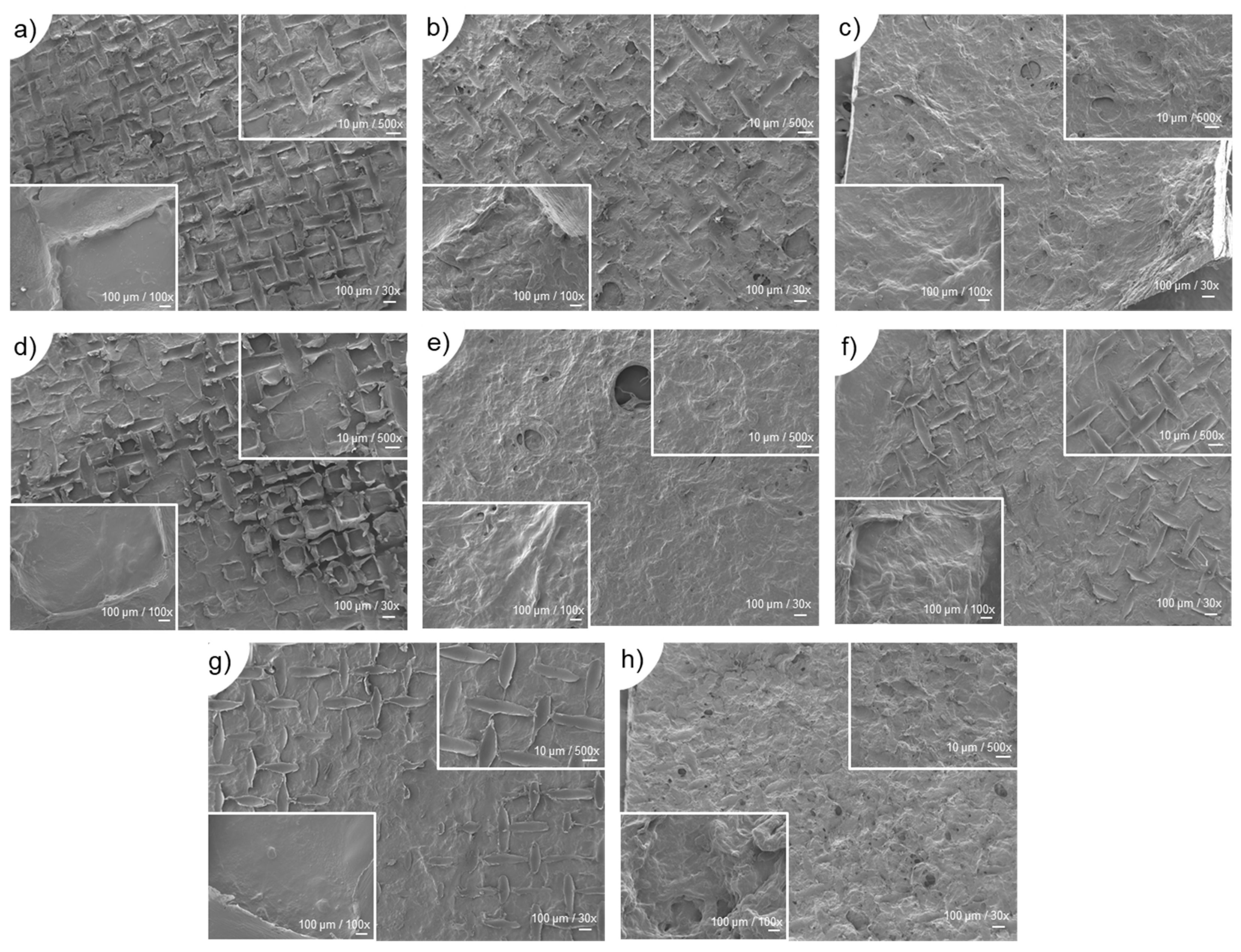 Gels 09 00247 g005 Gels 09 00247 g005