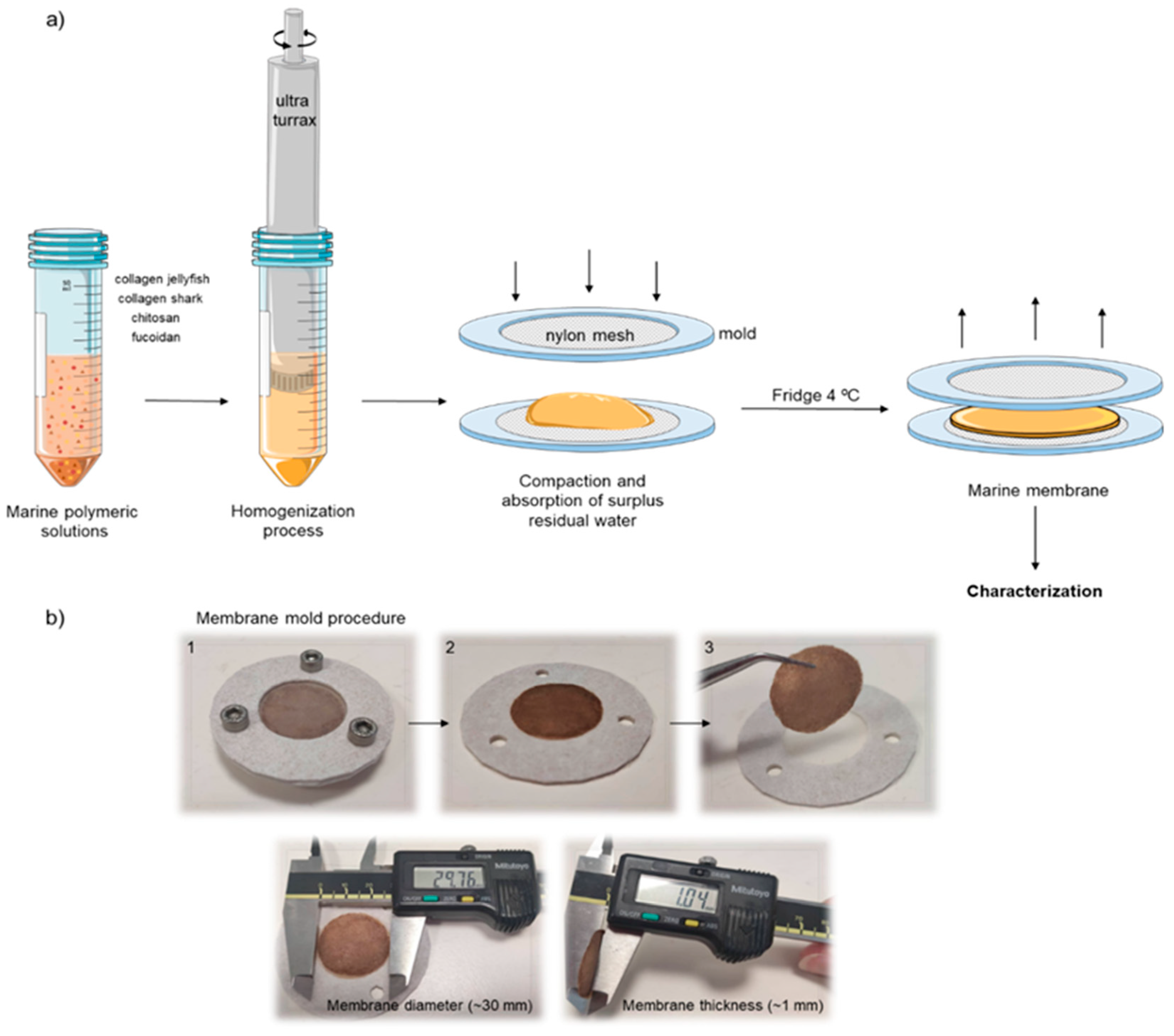 Gels 09 00247 g012 Gels 09 00247 g012