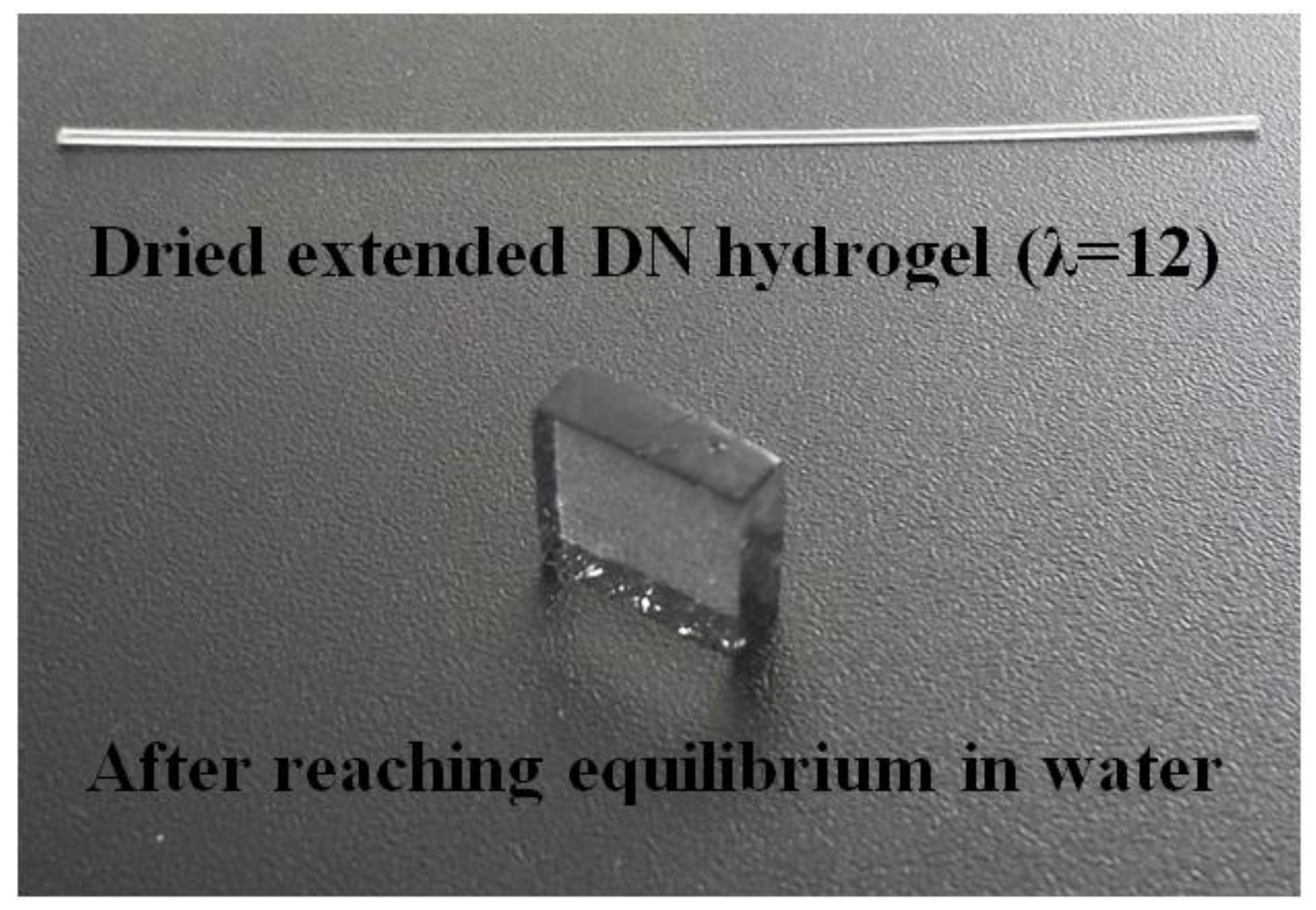 Gels 09 00258 g006 Gels 09 00258 g006