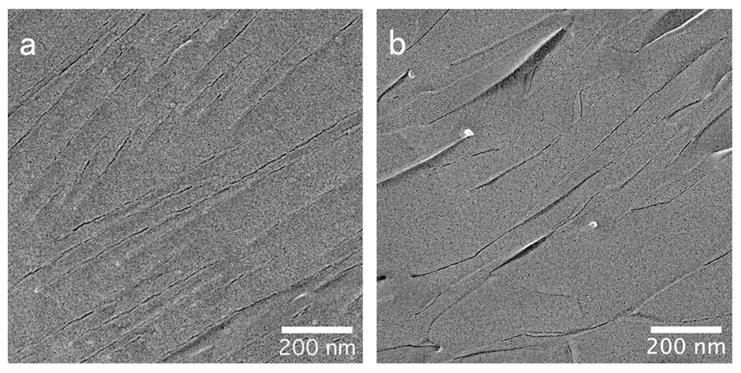 Gels 09 00261 g004 Gels 09 00261 g004