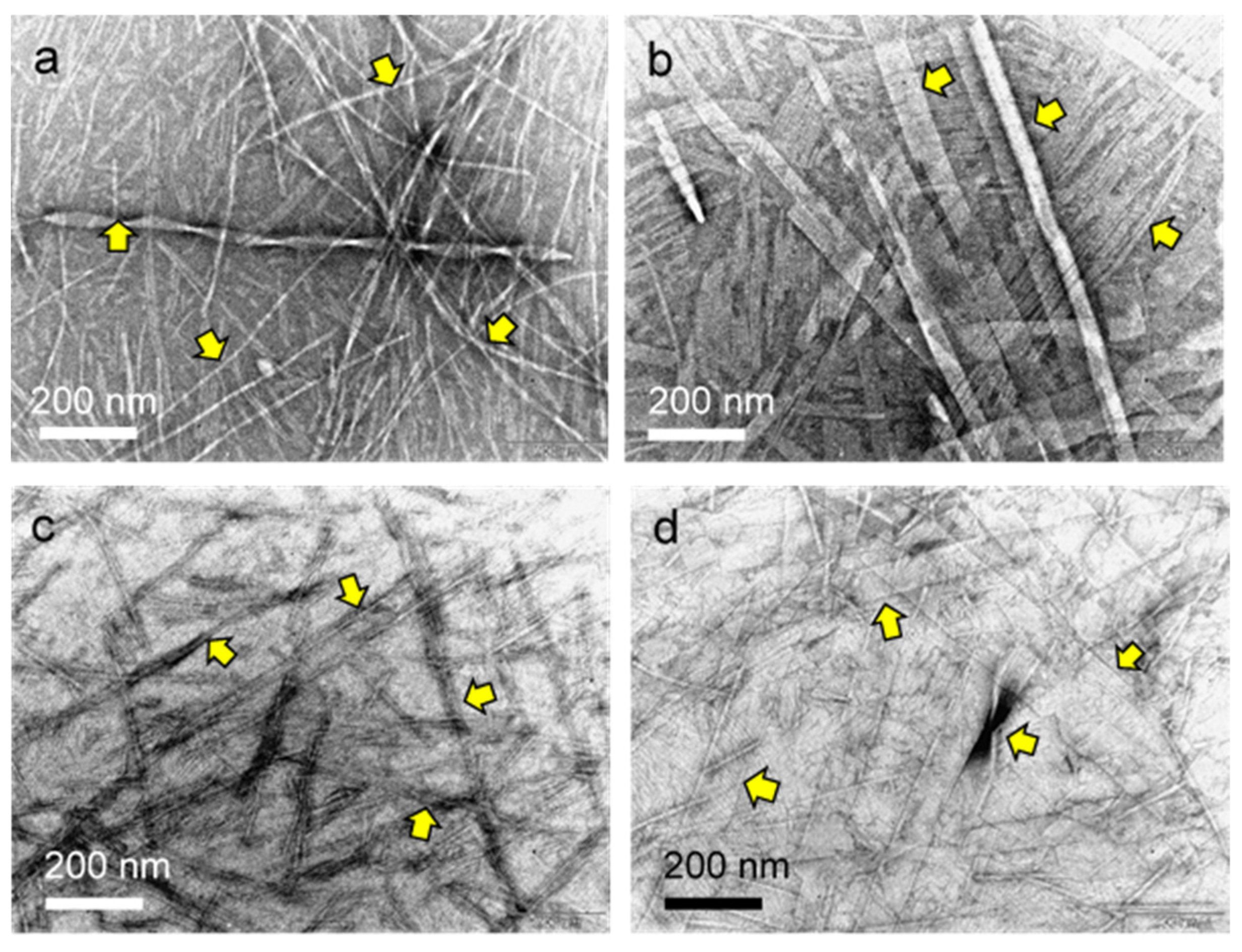 Gels 09 00261 g005 Gels 09 00261 g005