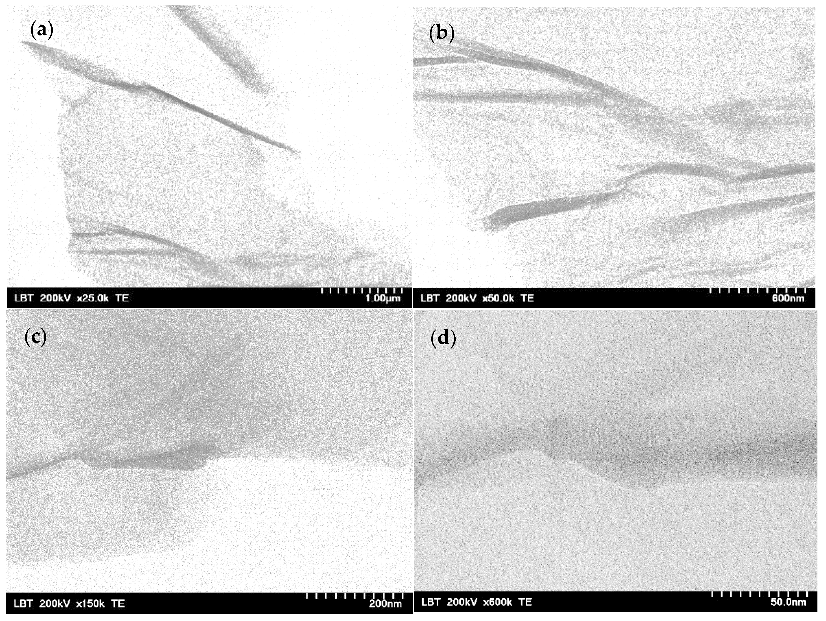 Gels 09 00298 g004 Gels 09 00298 g004